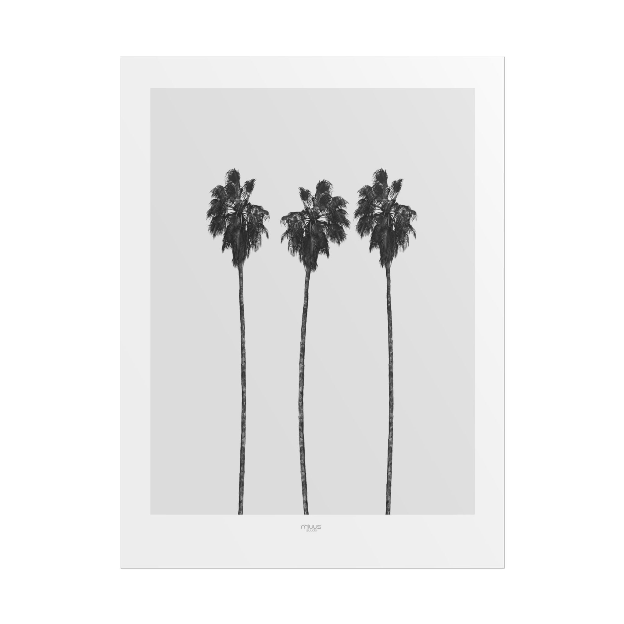 Silver Coast Palm Trio - Poster