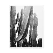 Monochrome Desert Veins - Canvas
