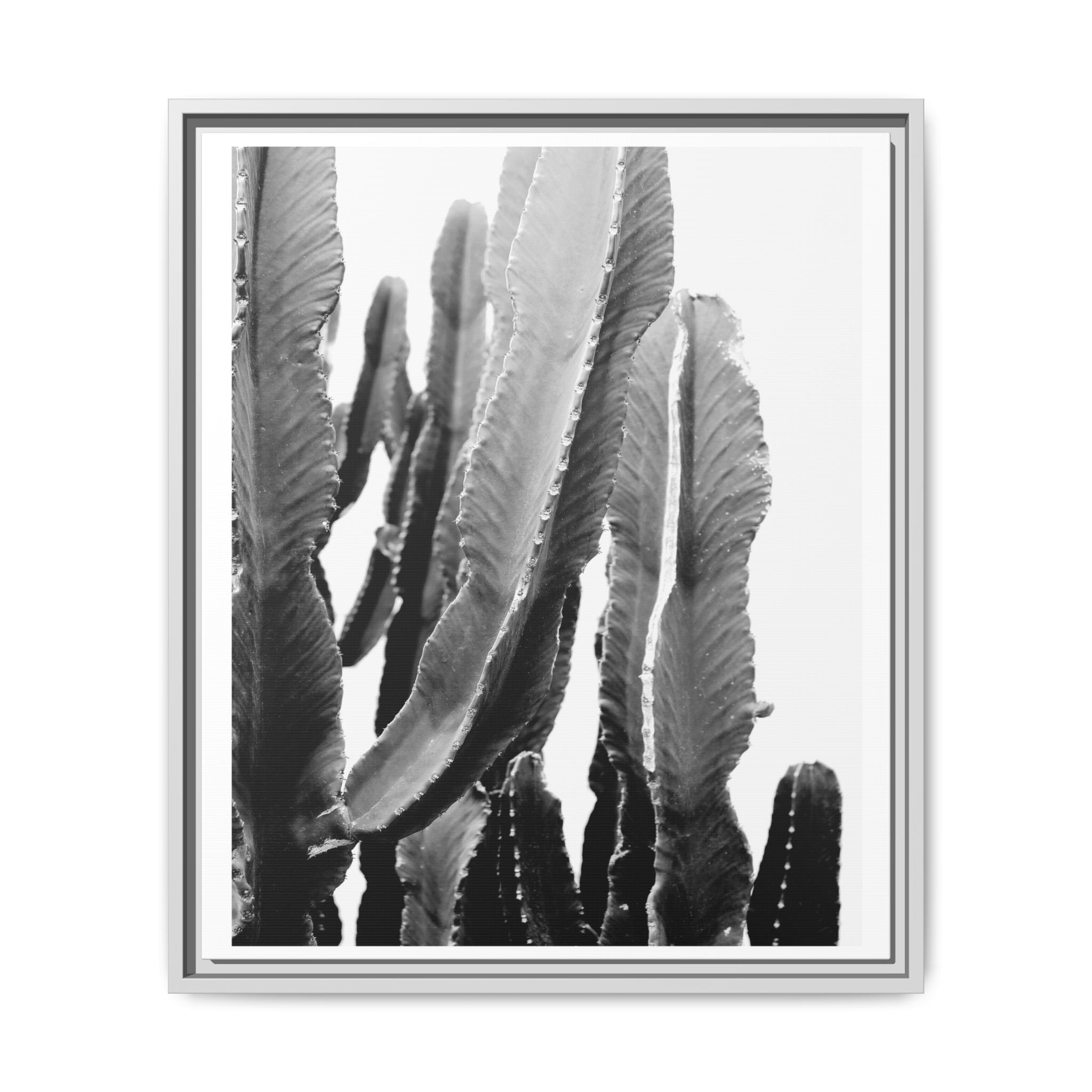 Monochrome Desert Veins - Framed