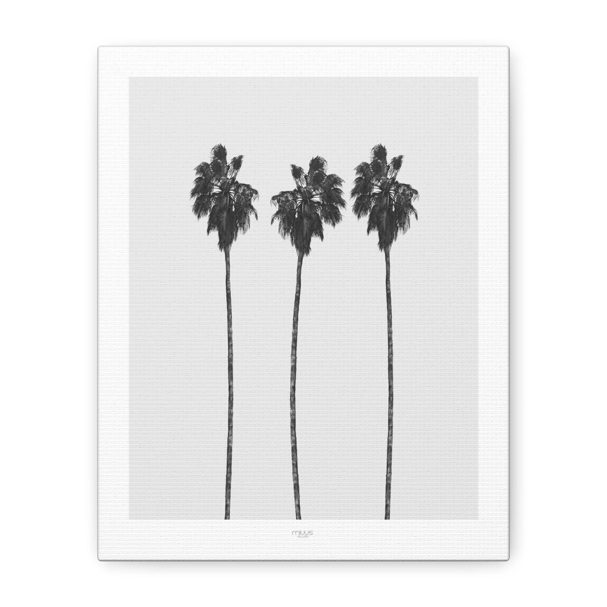 Silver Coast Palm Trio - Canvas