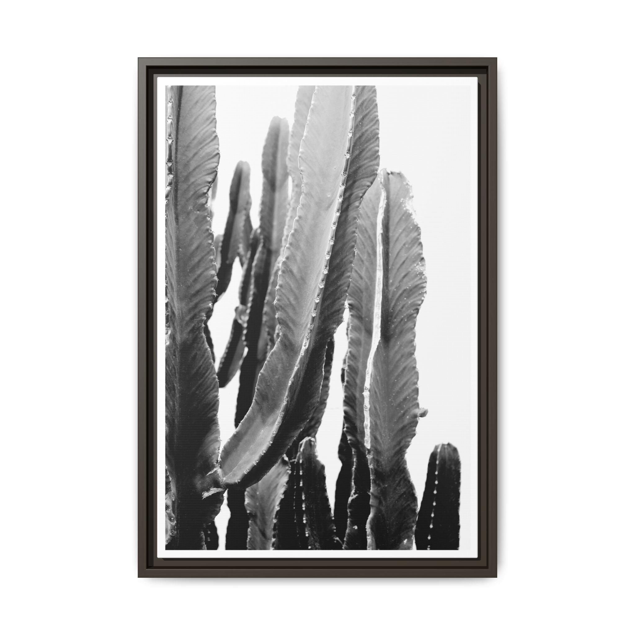 Monochrome Desert Veins - Framed
