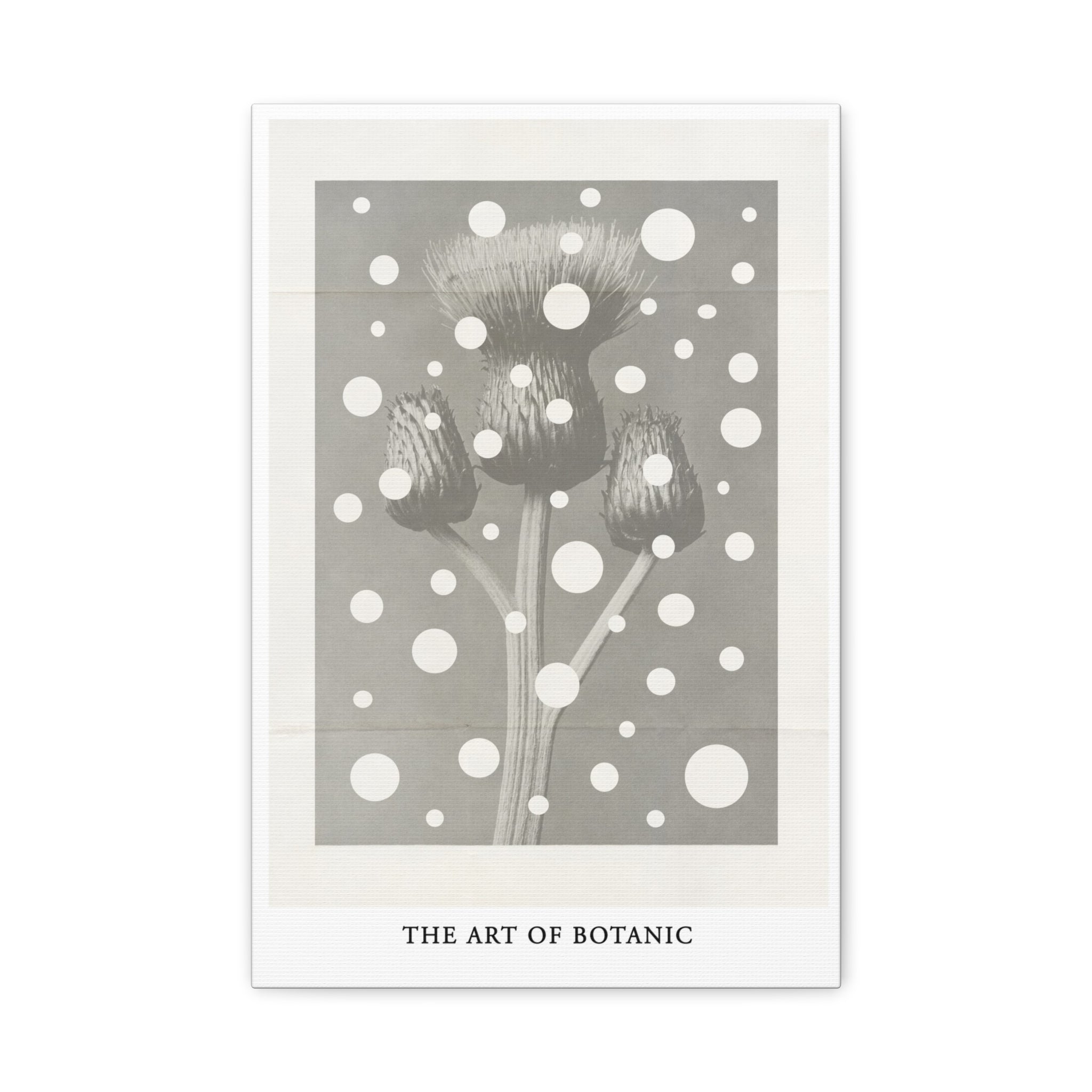 Winter Thistle Reverie - Canvas