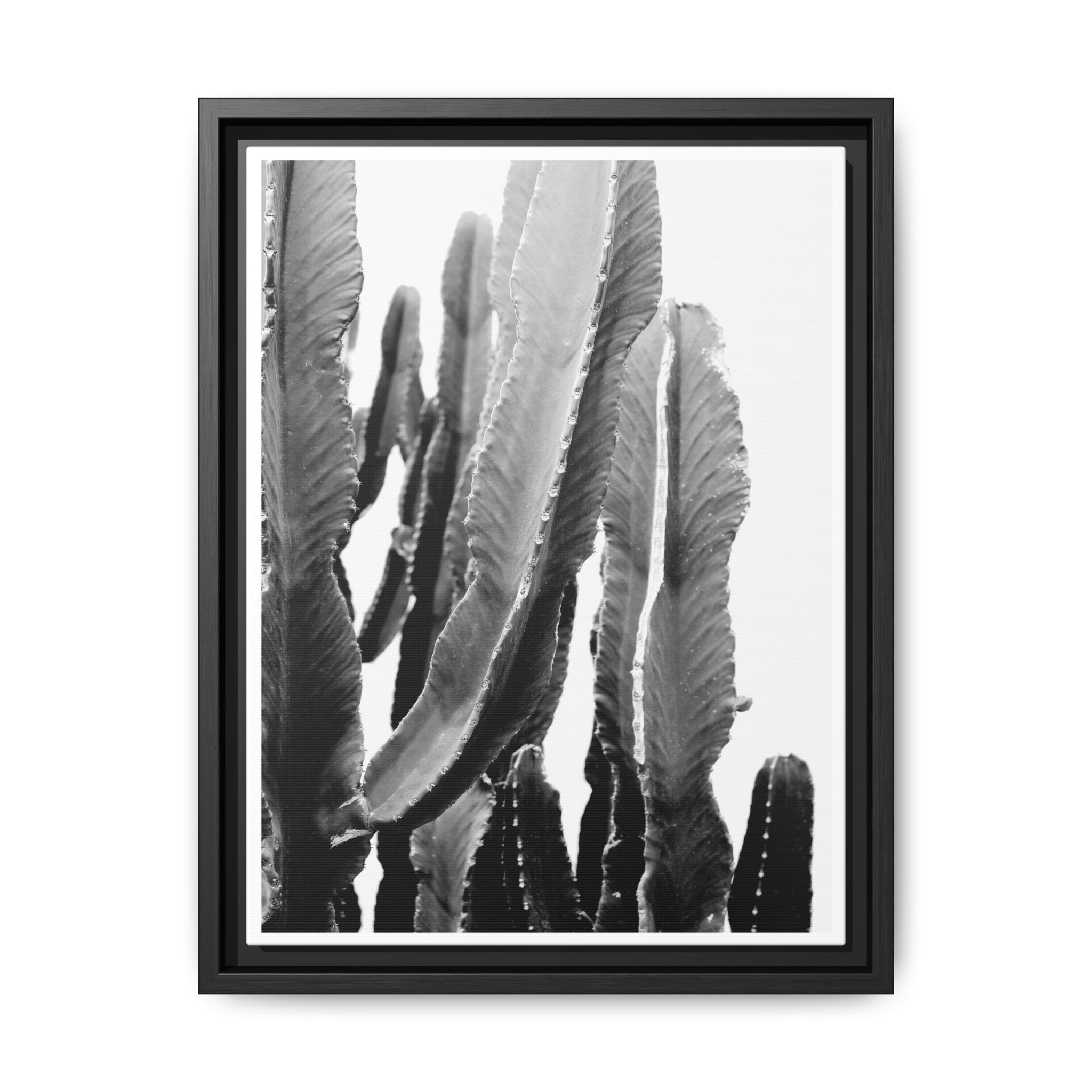 Monochrome Desert Veins - Framed