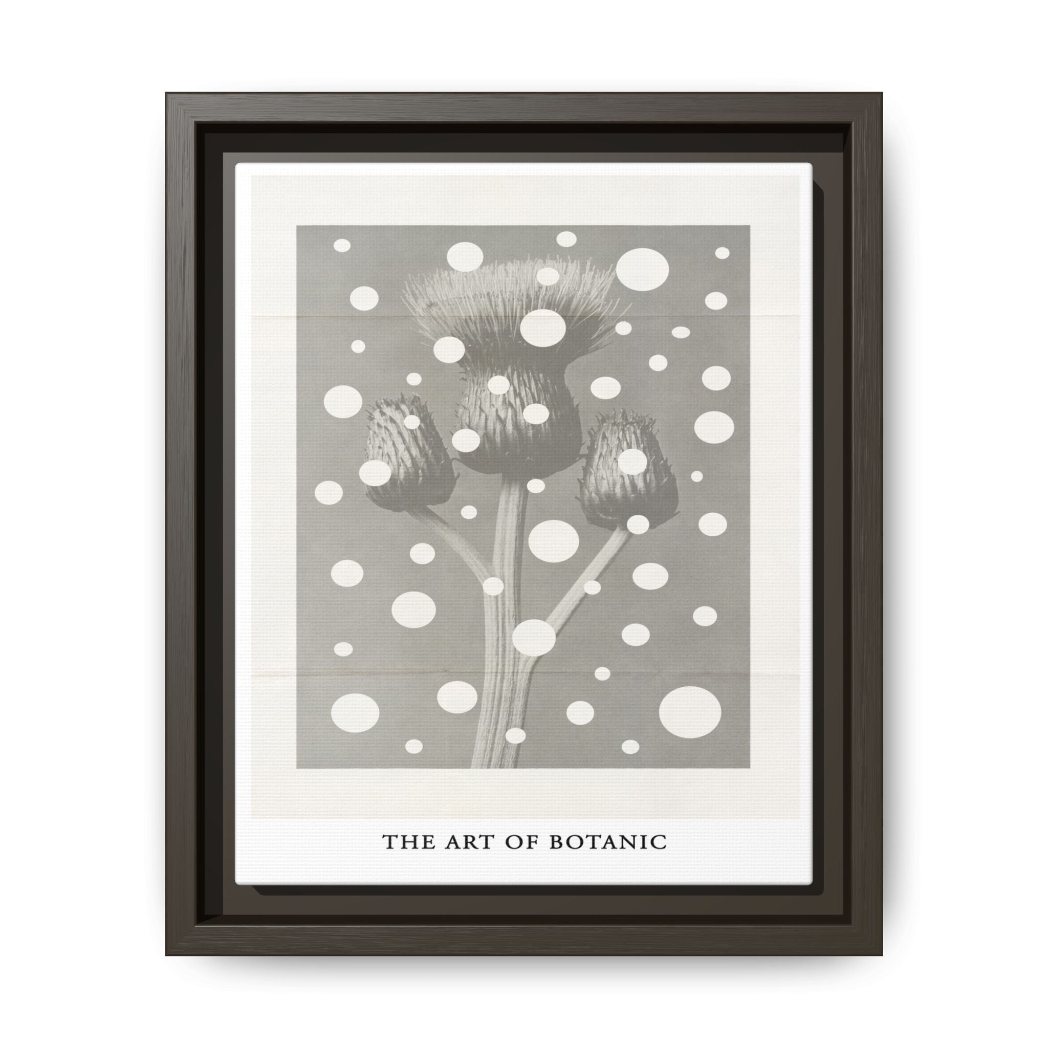 Winter Thistle Reverie - Framed