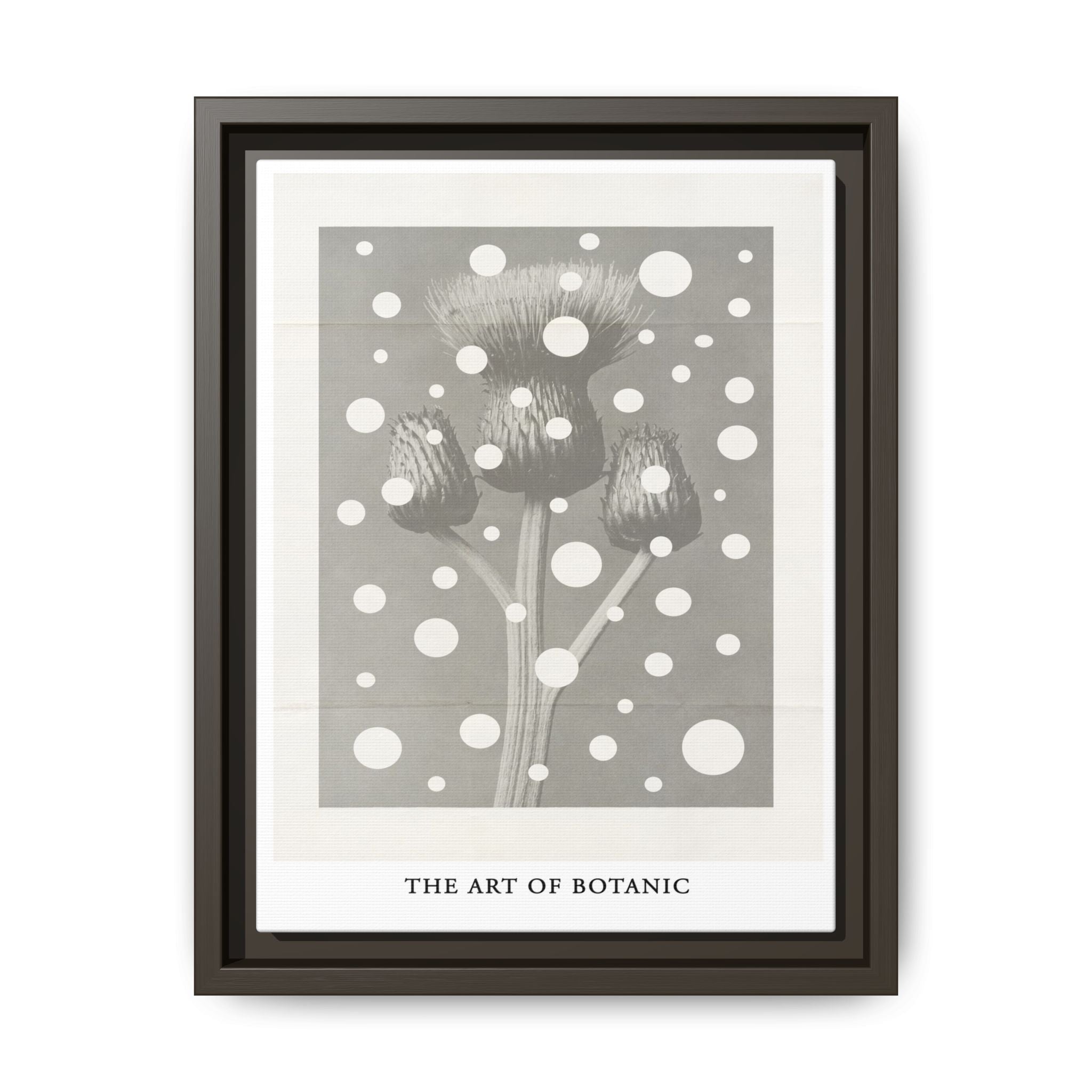 Winter Thistle Reverie - Framed