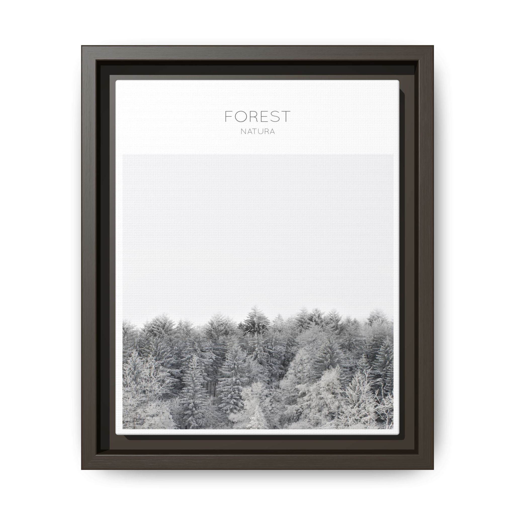 Silent Frost Canopy - Framed