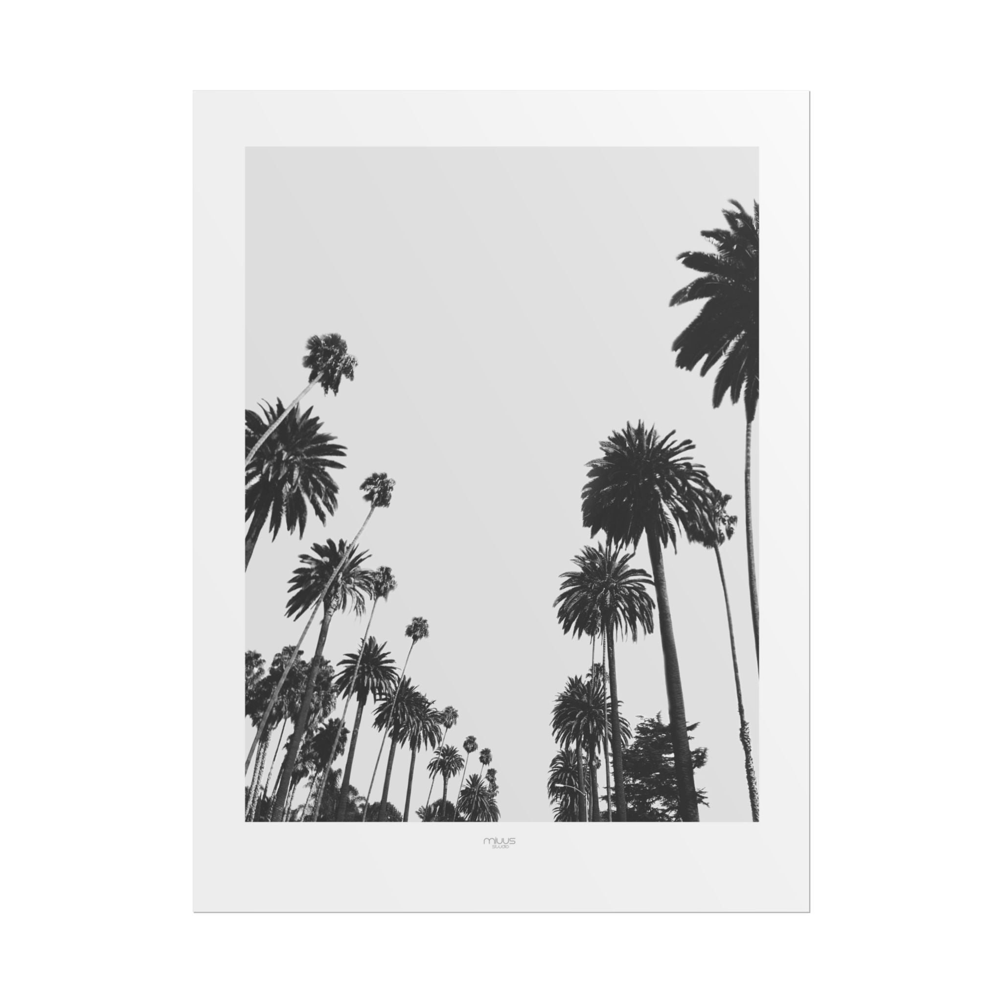 Midnight Palm Reverie - Poster