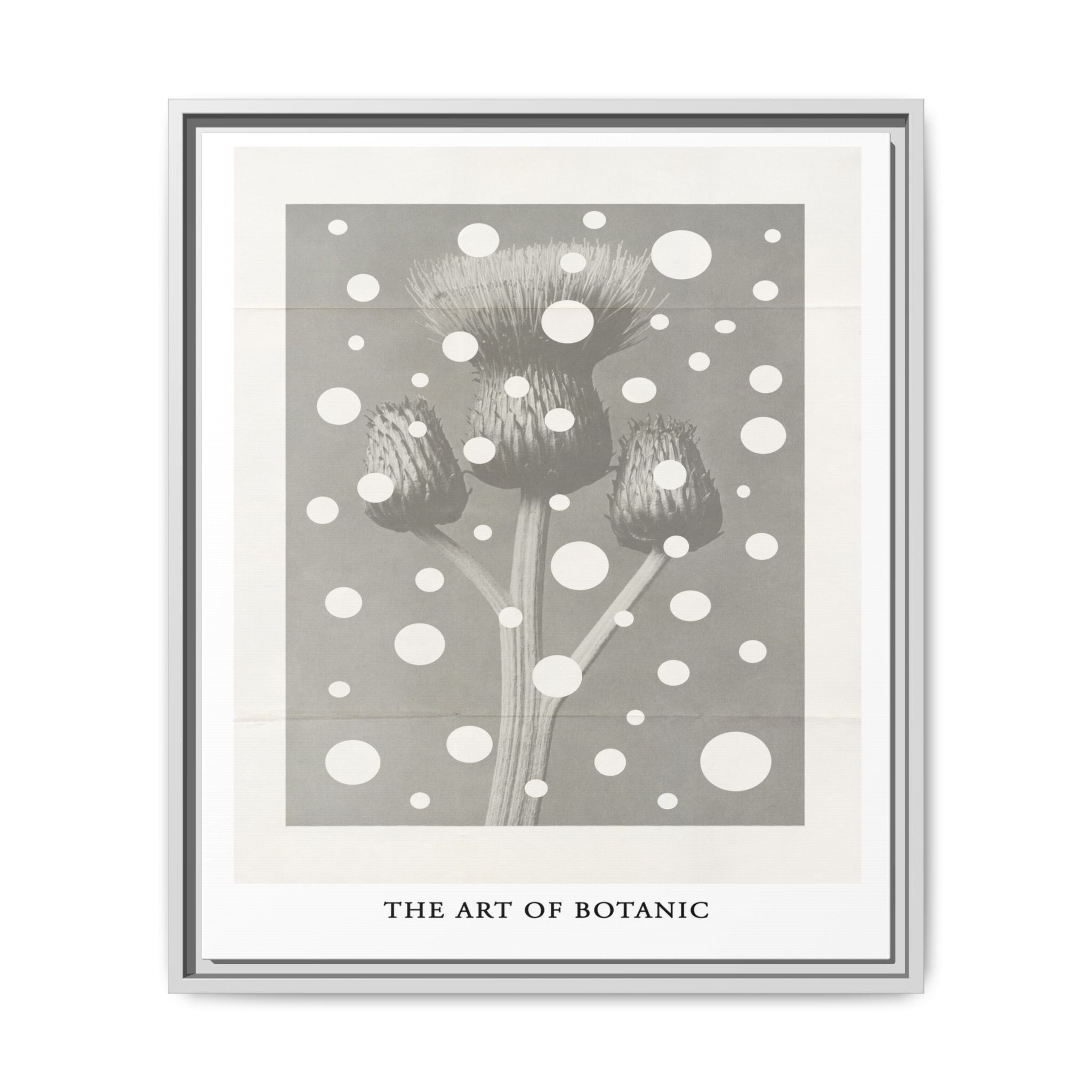 Winter Thistle Reverie - Framed