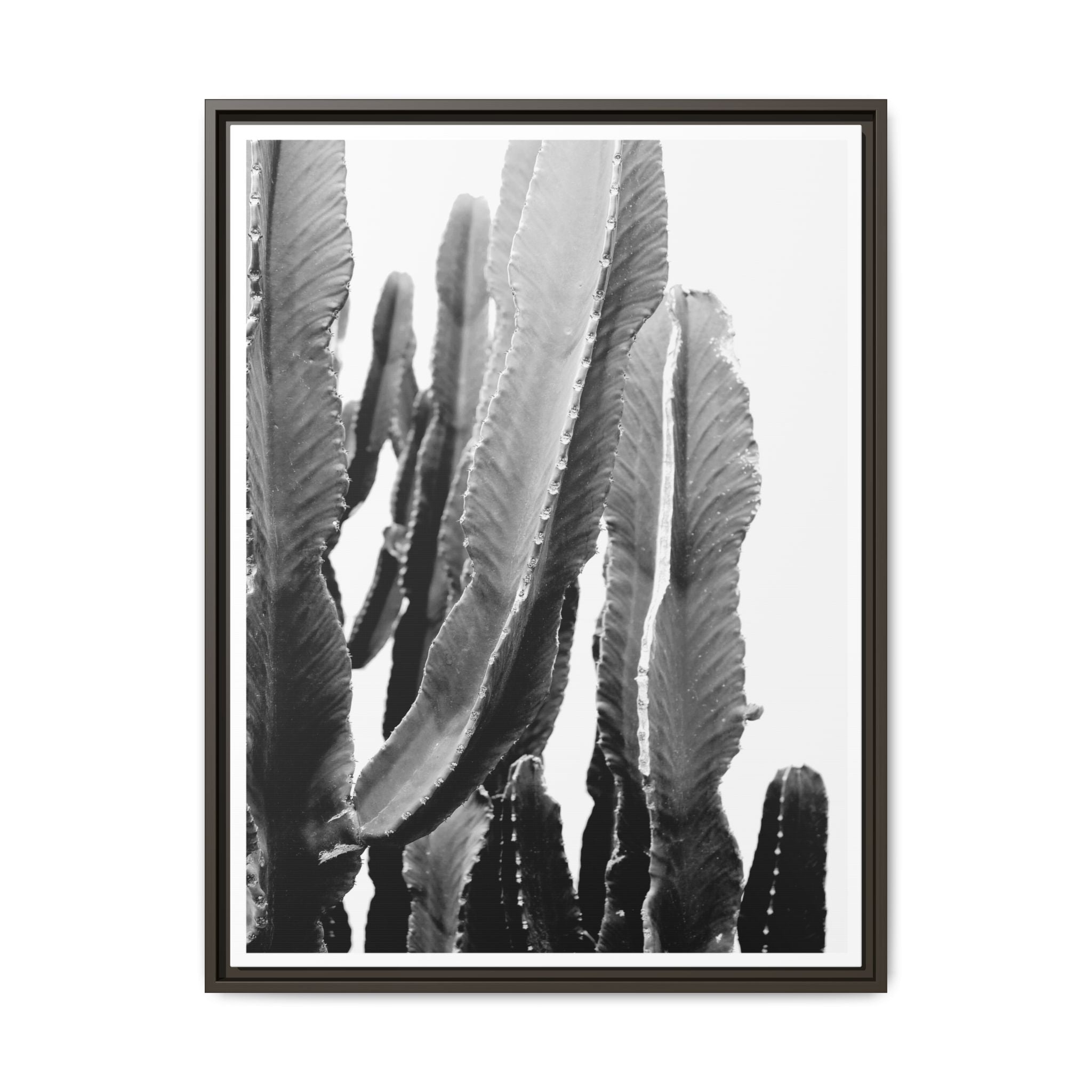 Monochrome Desert Veins - Framed