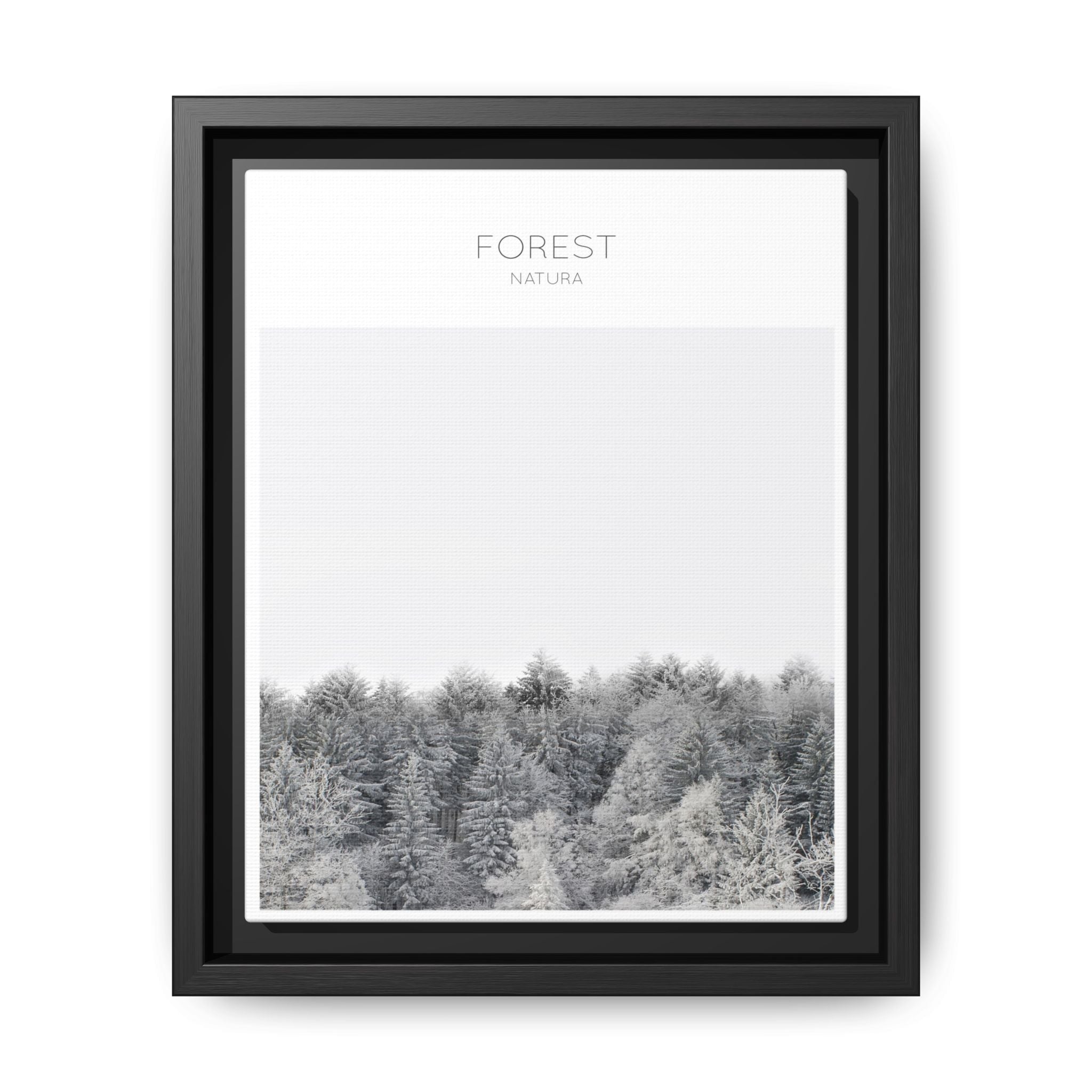 Silent Frost Canopy - Framed