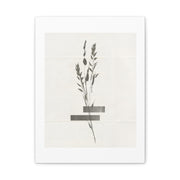 Quiet Meadow Alignment - Canvas