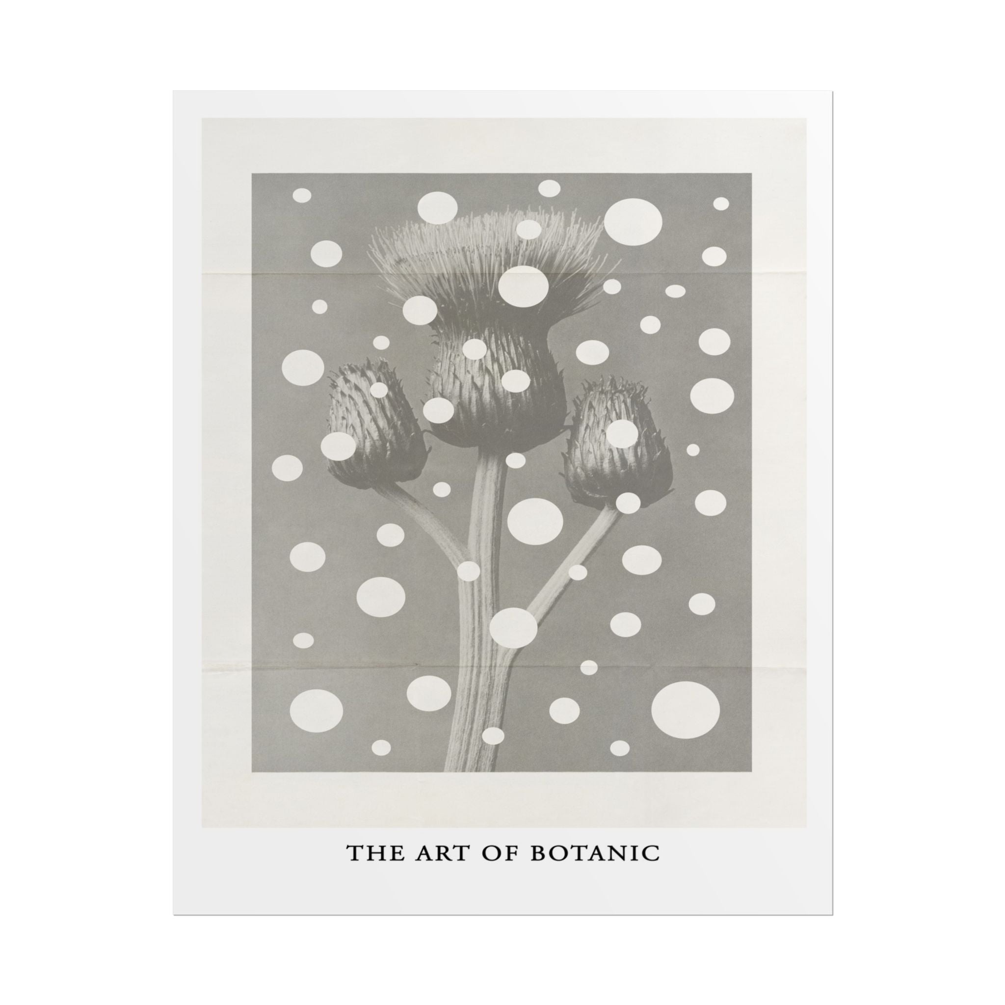 Winter Thistle Reverie - Poster