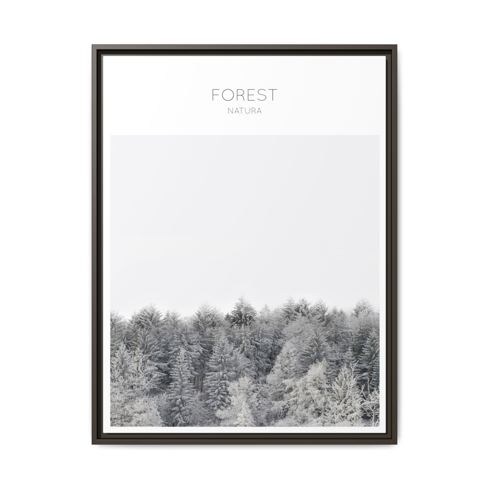 Silent Frost Canopy - Framed