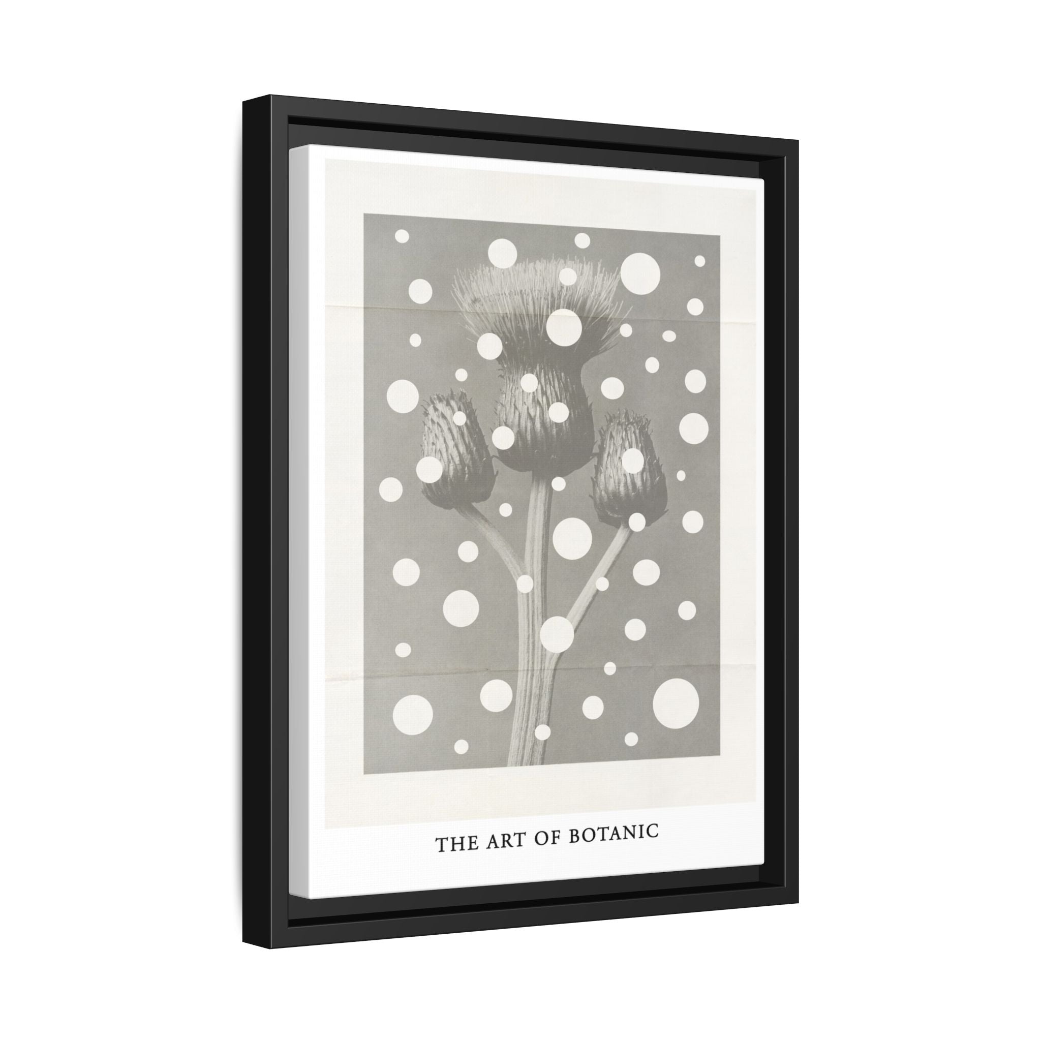 Winter Thistle Reverie - Framed