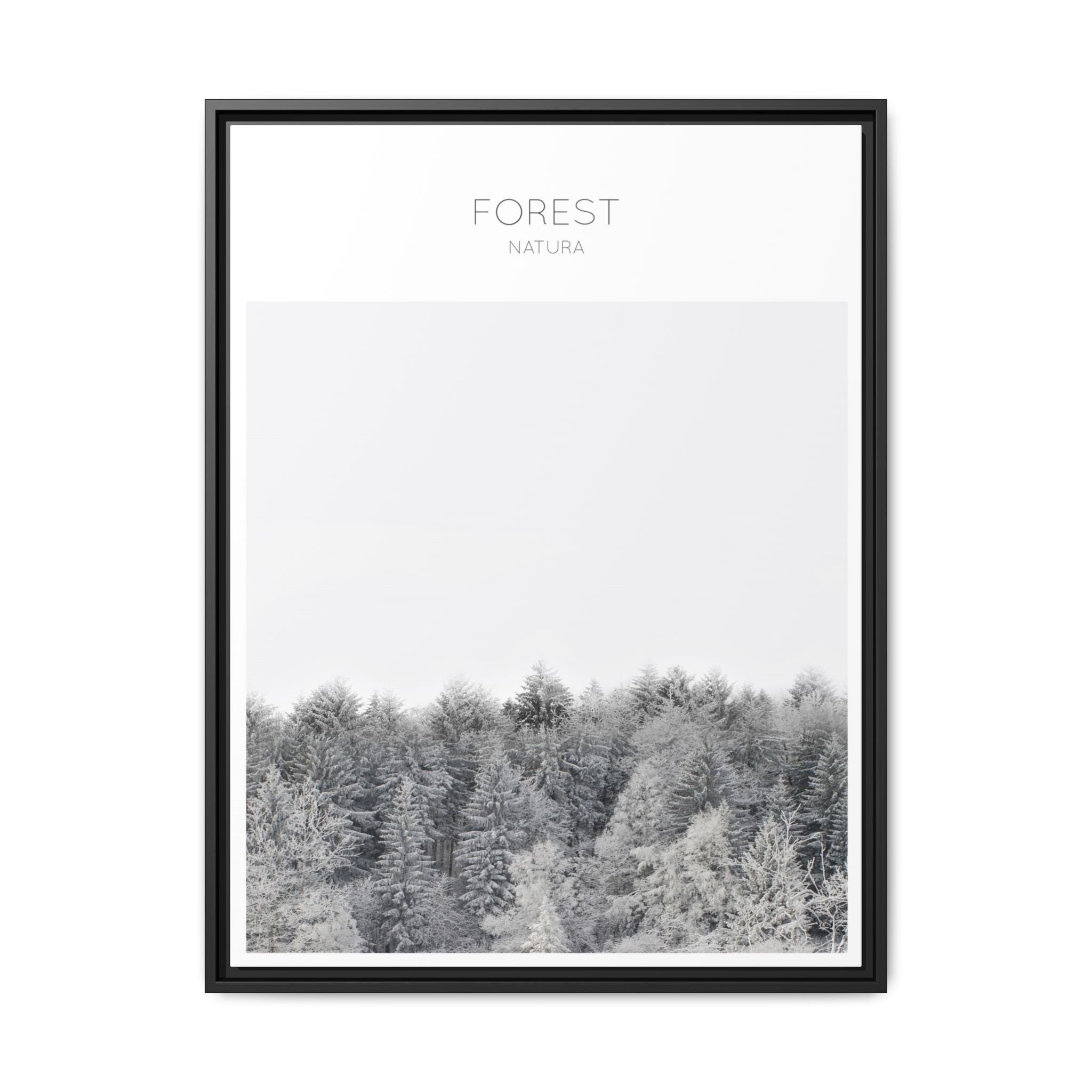 Silent Frost Canopy - Framed