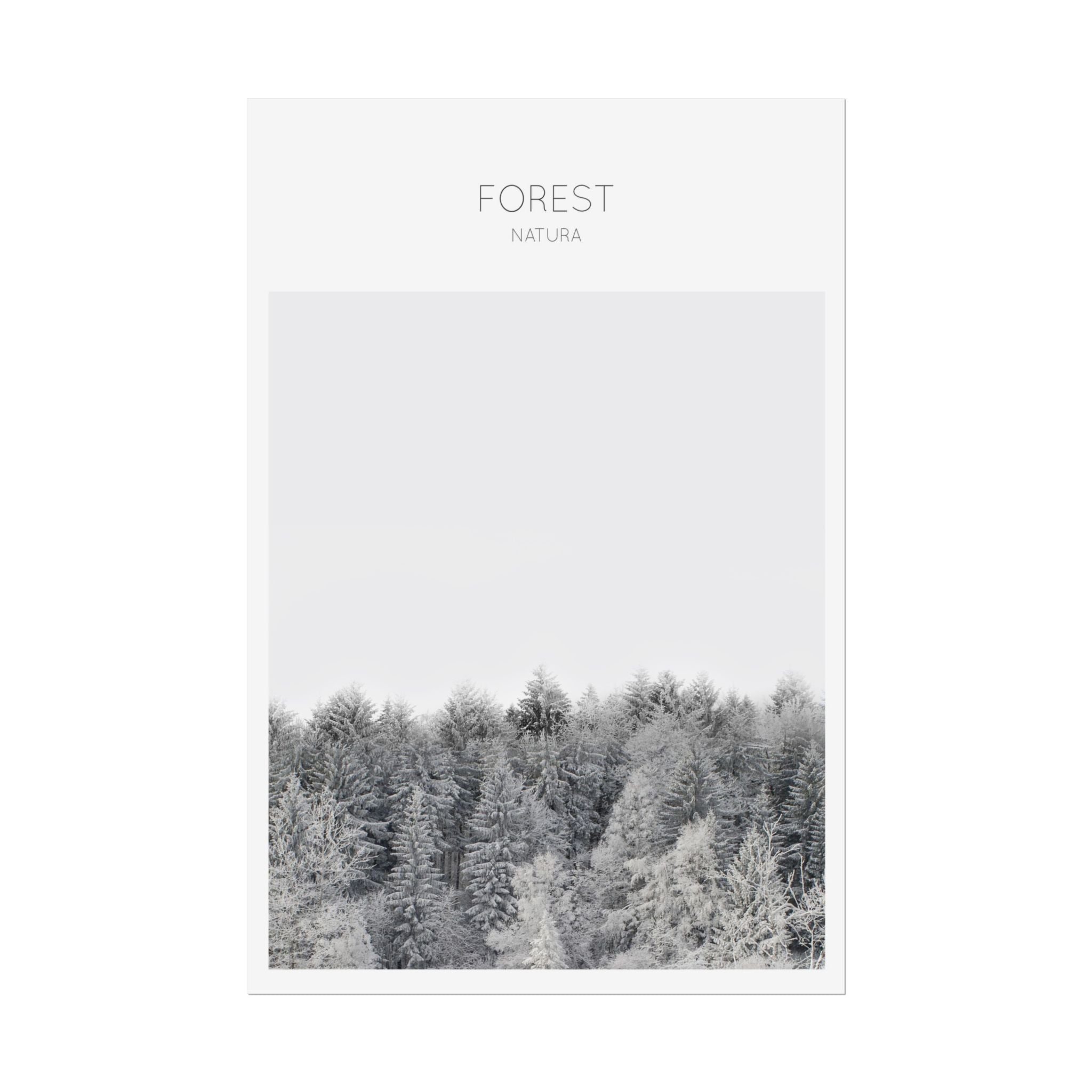 Silent Frost Canopy - Poster