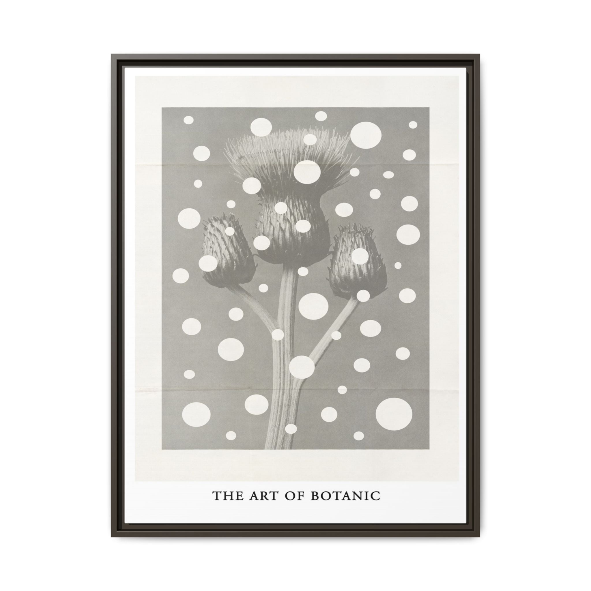 Winter Thistle Reverie - Framed