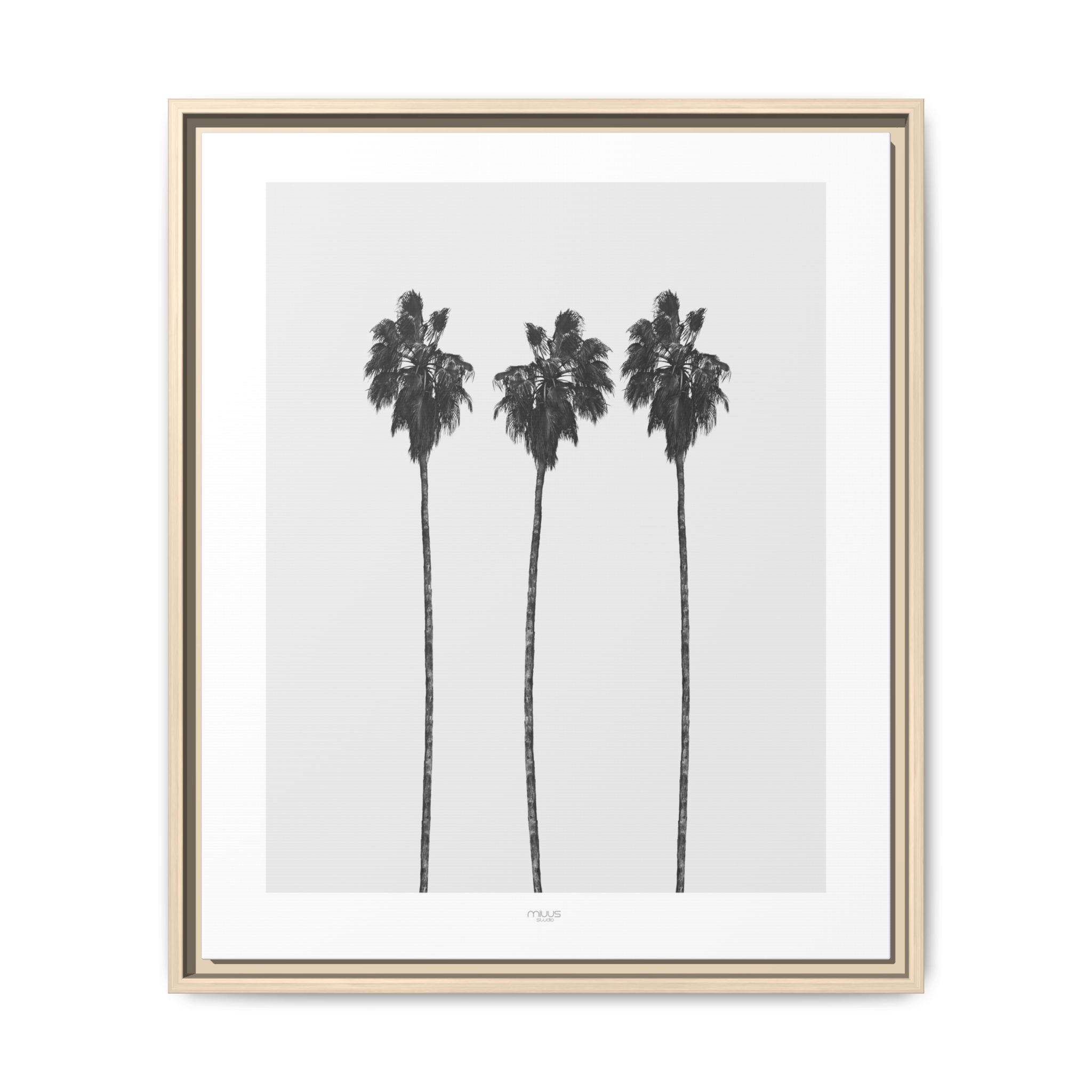 Silver Coast Palm Trio - Framed