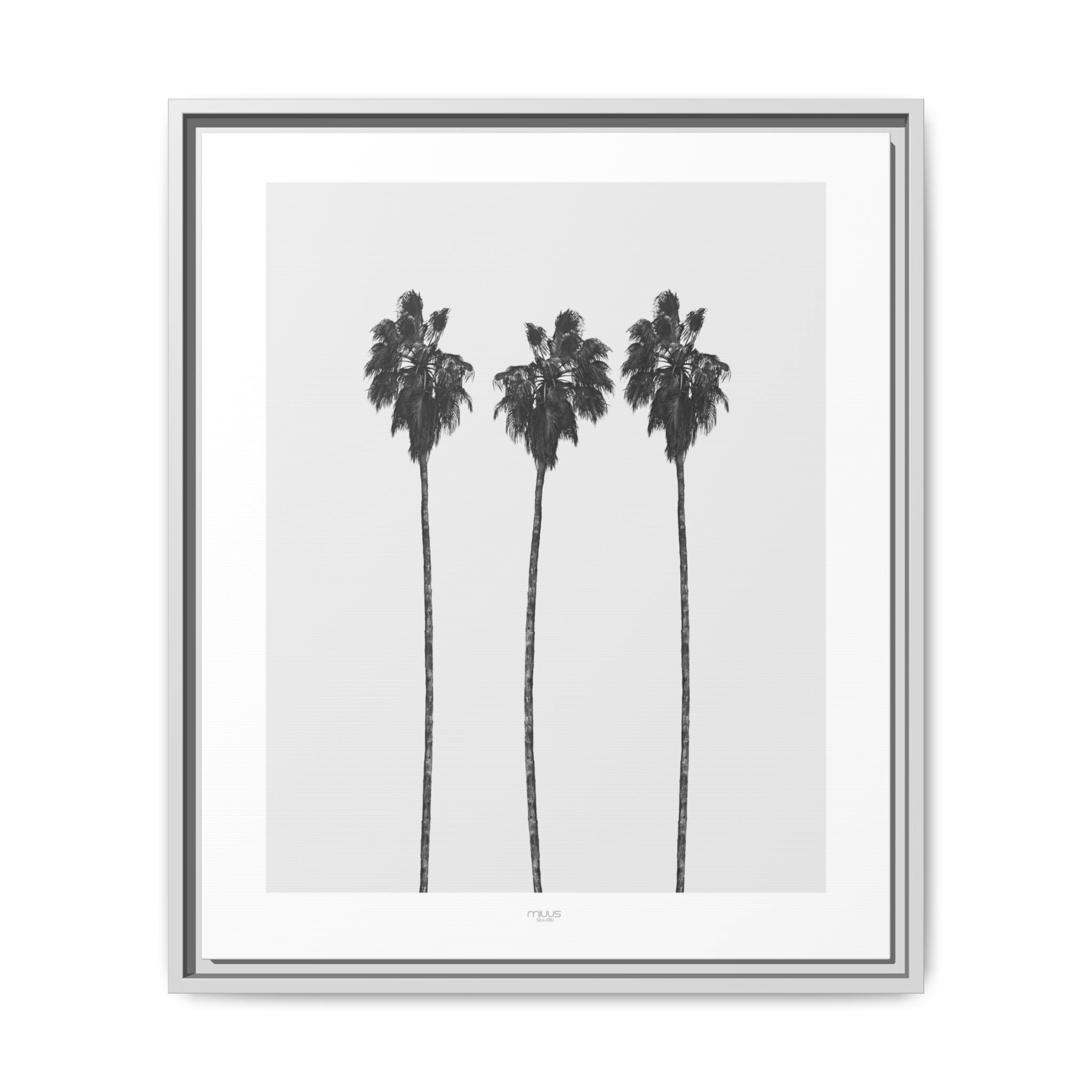 Silver Coast Palm Trio - Framed