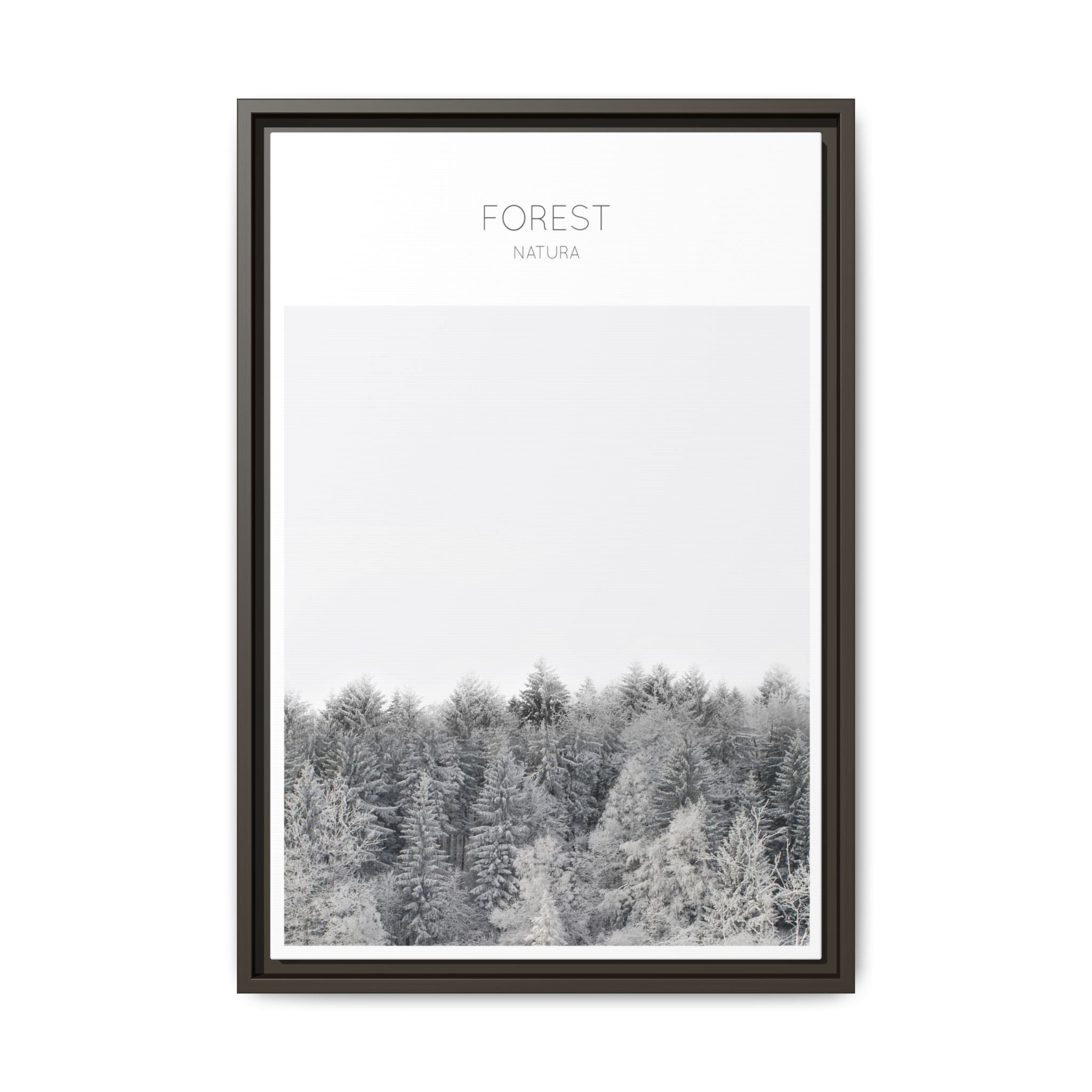 Silent Frost Canopy - Framed