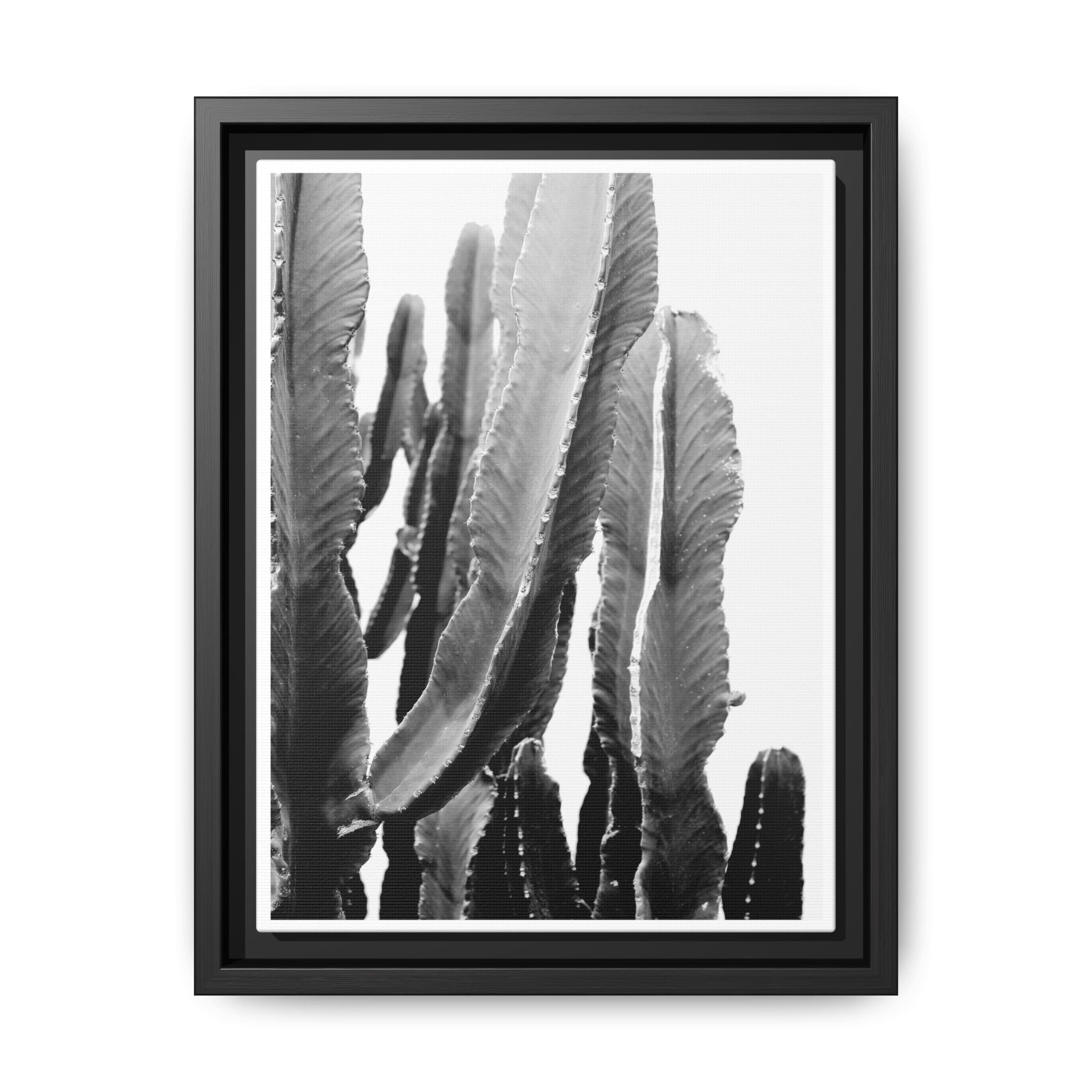 Monochrome Desert Veins - Framed