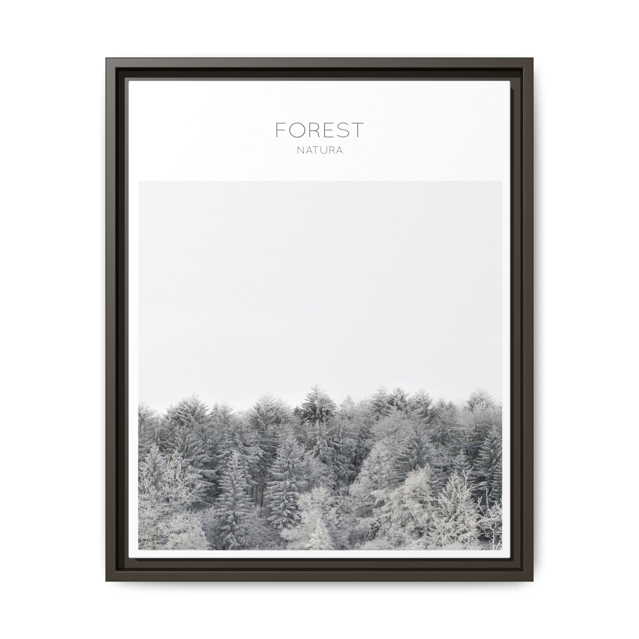 Silent Frost Canopy - Framed