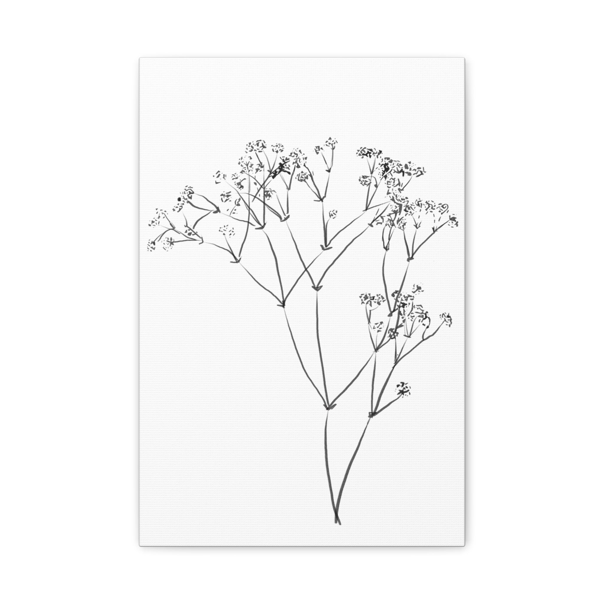 Whispering Meadow Sketch - Canvas