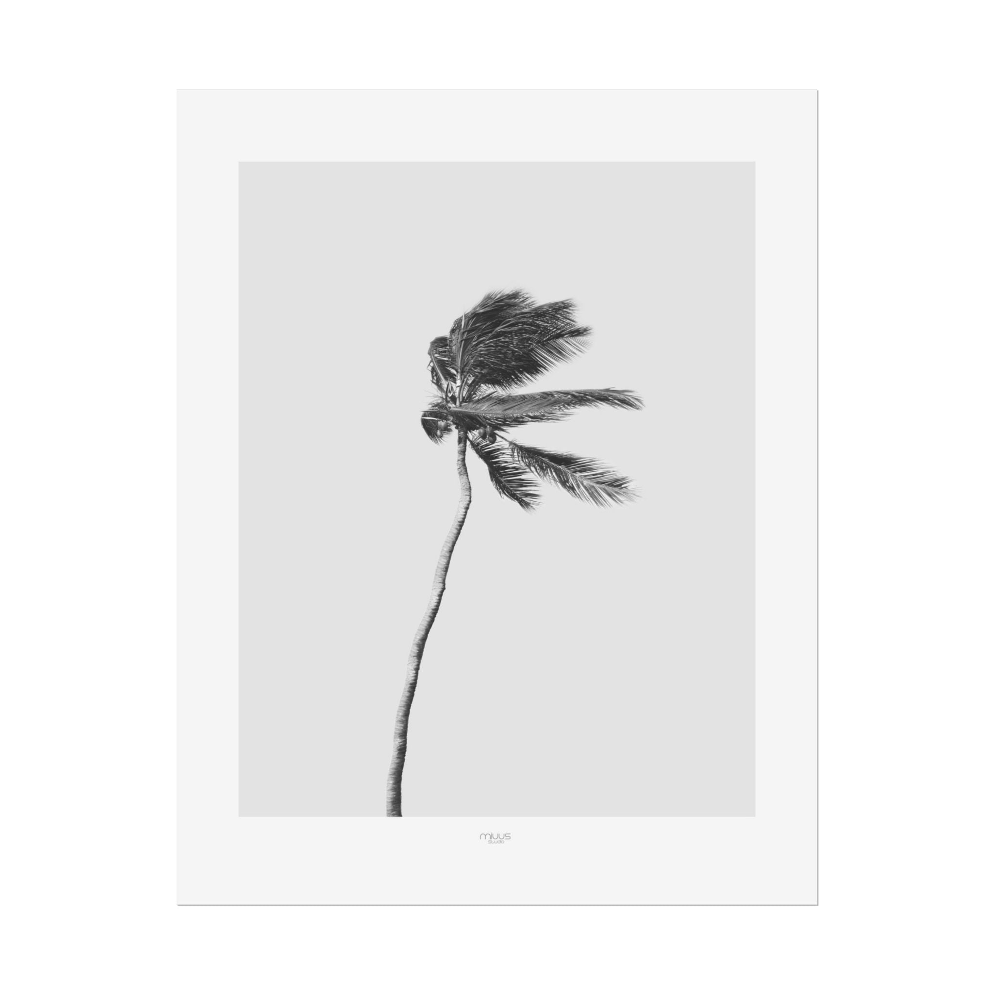 Coastal Silence Sway - Poster