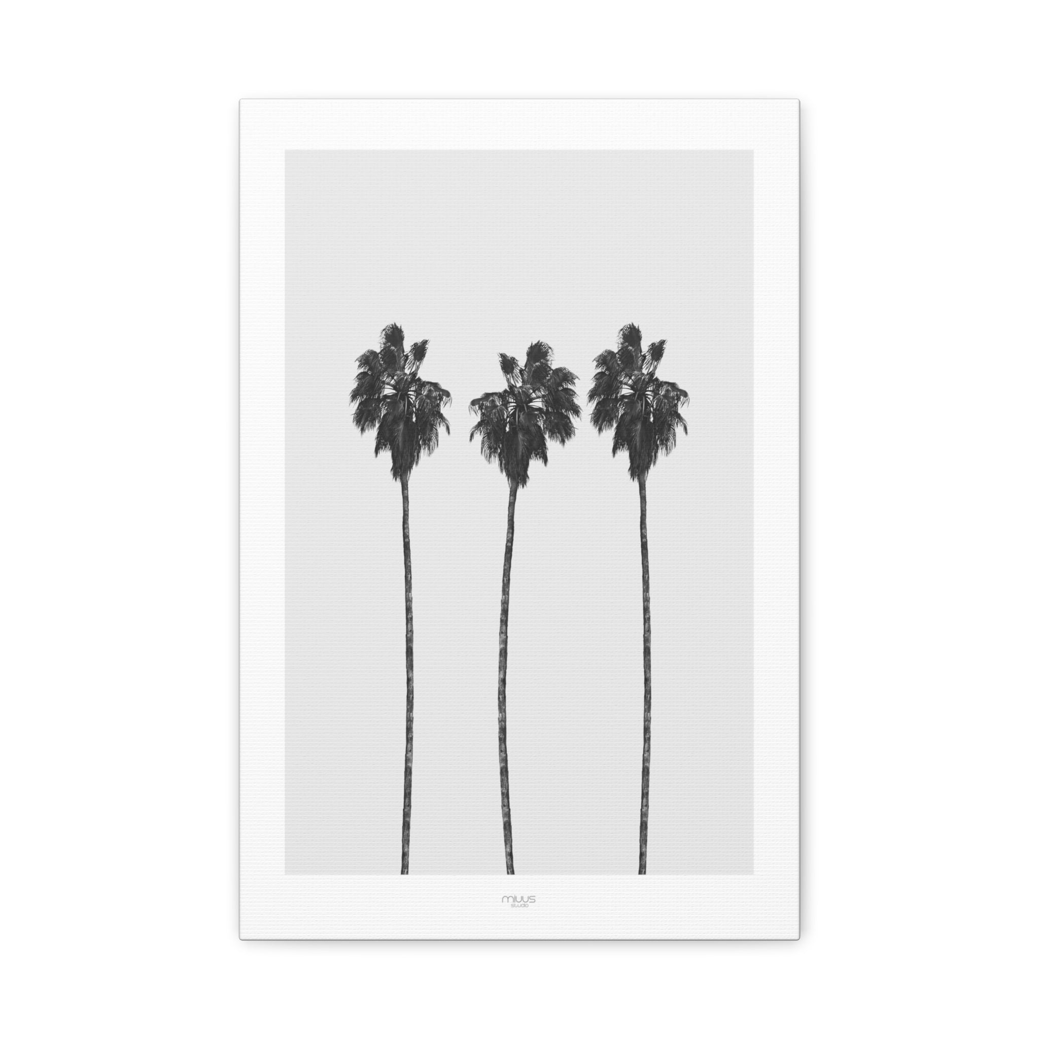Silver Coast Palm Trio - Canvas