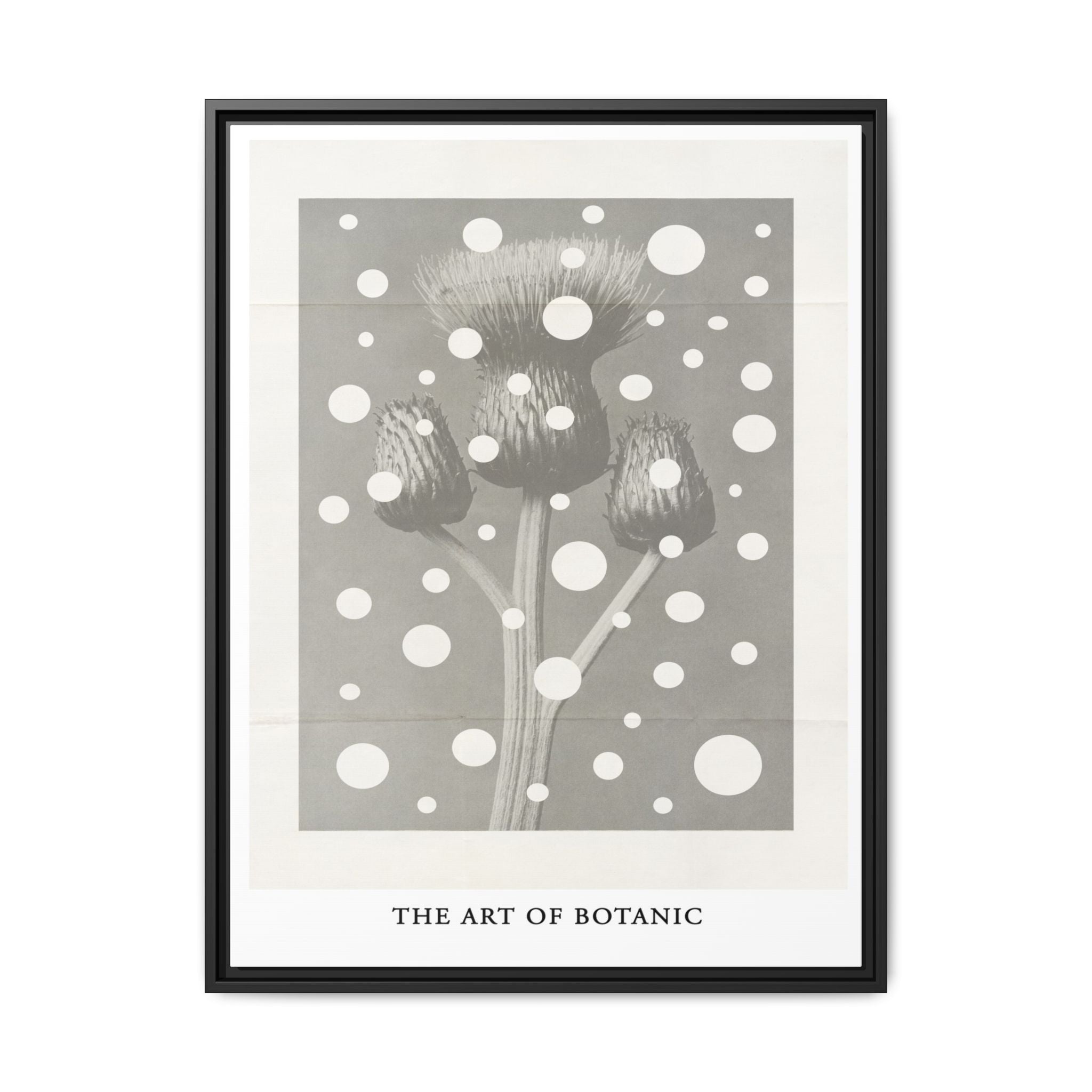 Winter Thistle Reverie - Framed