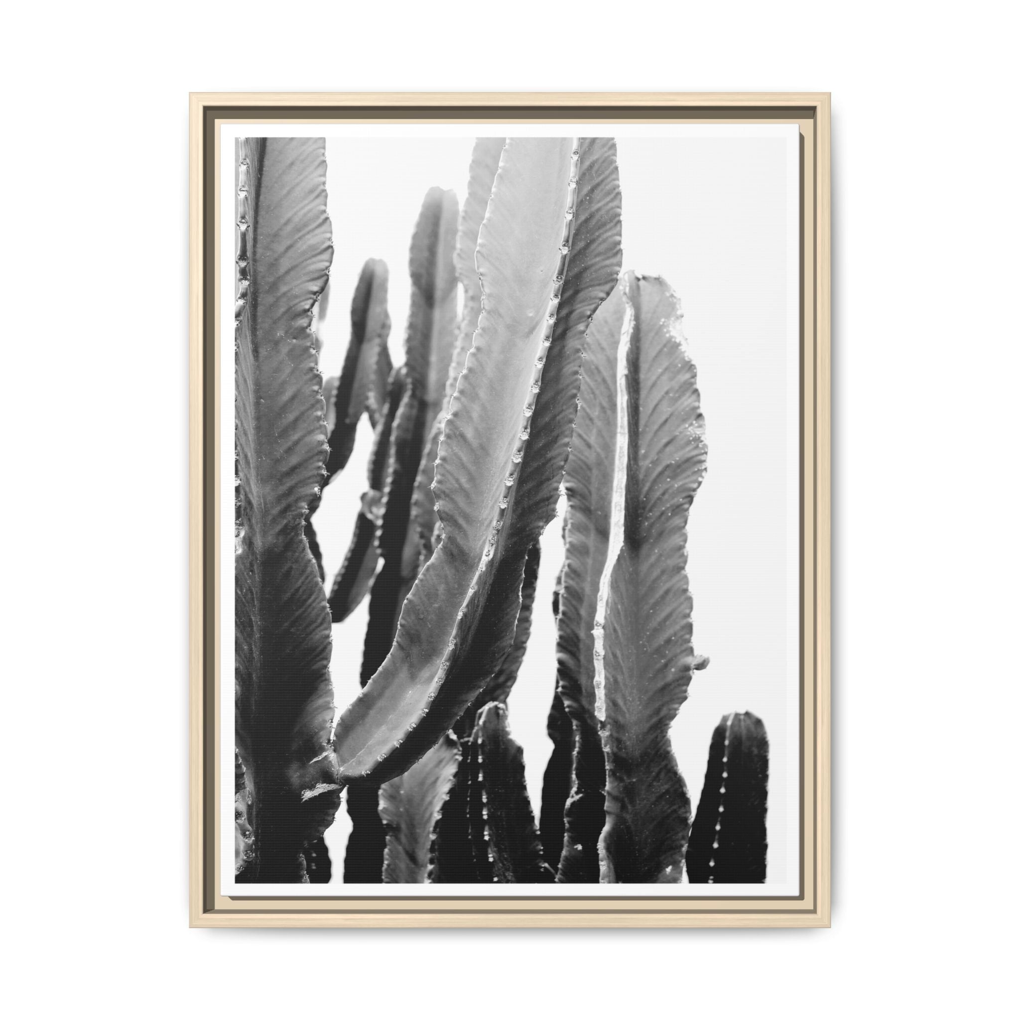 Monochrome Desert Veins - Framed