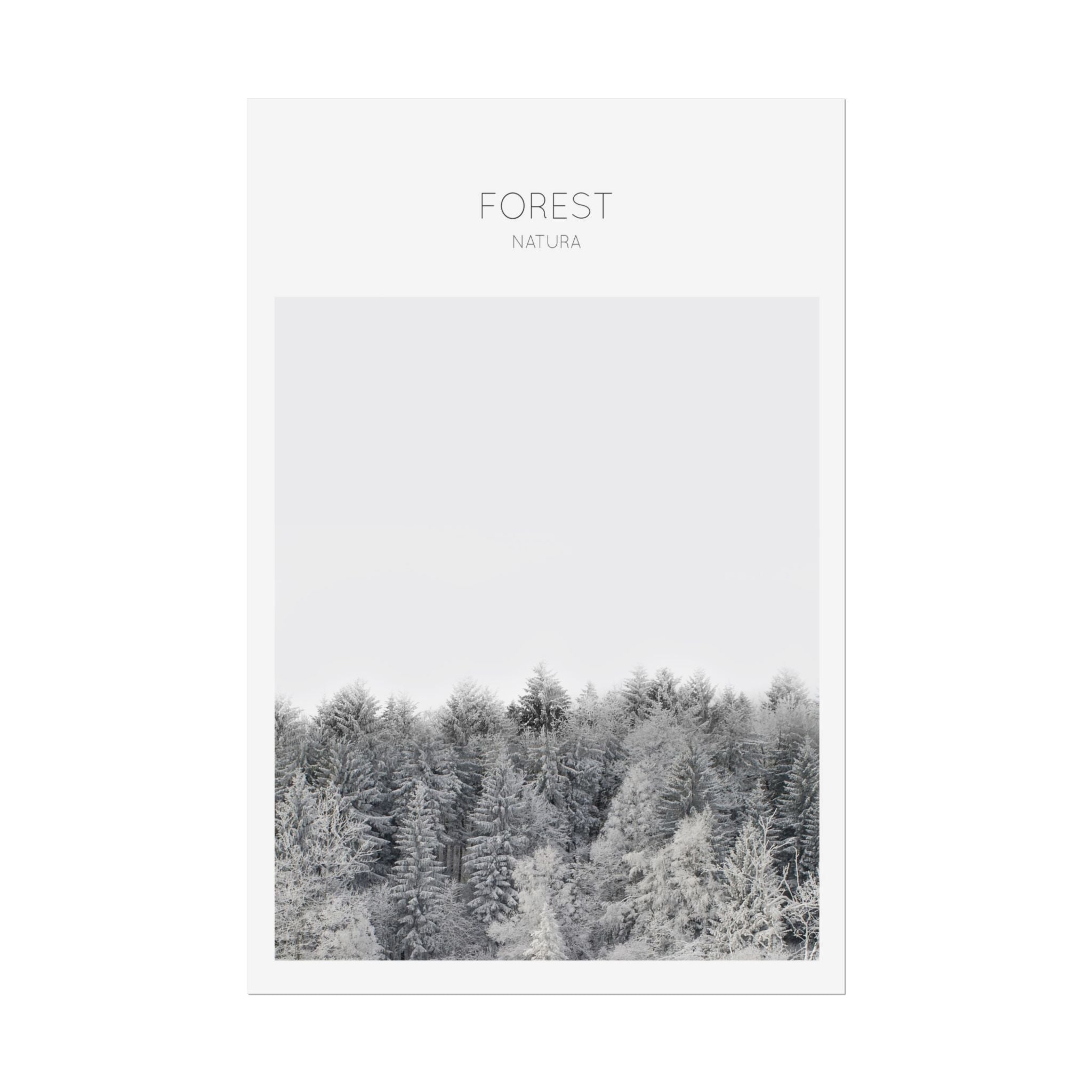 Silent Frost Canopy - Poster