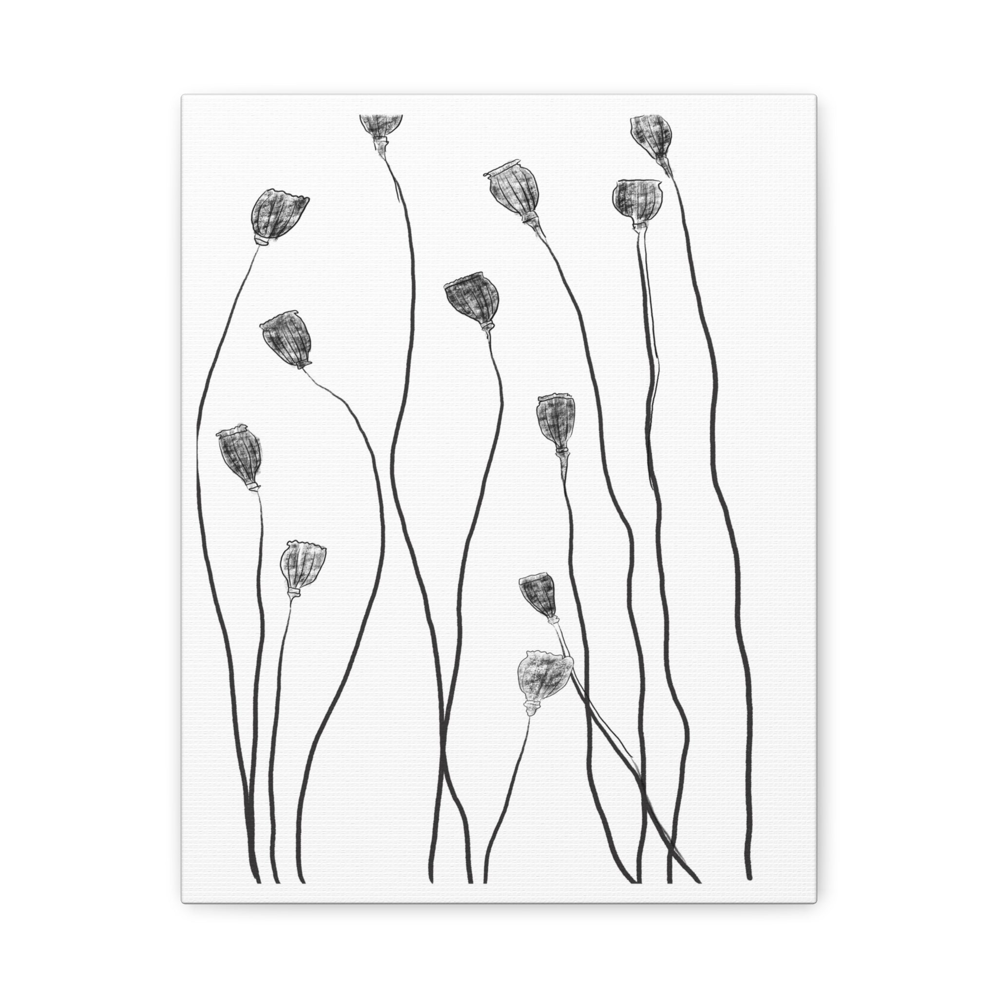 Midnight Seed Reverie - Canvas