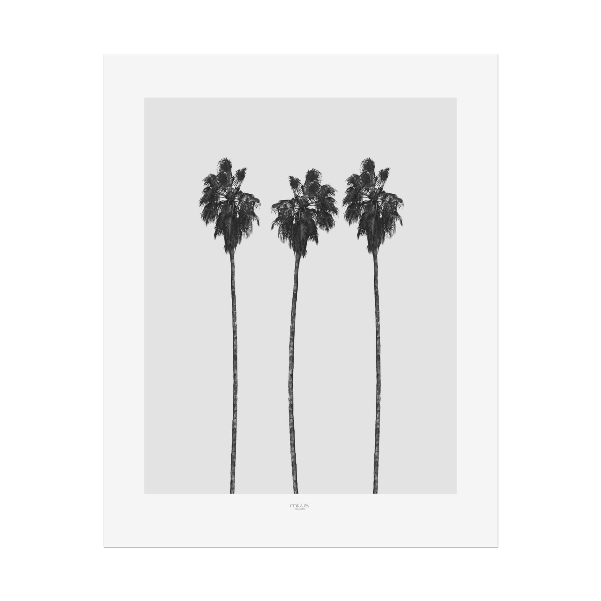 Silver Coast Palm Trio - Poster