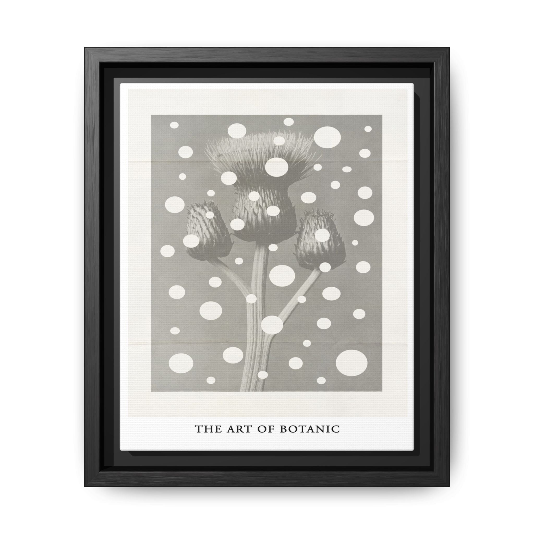 Winter Thistle Reverie - Framed