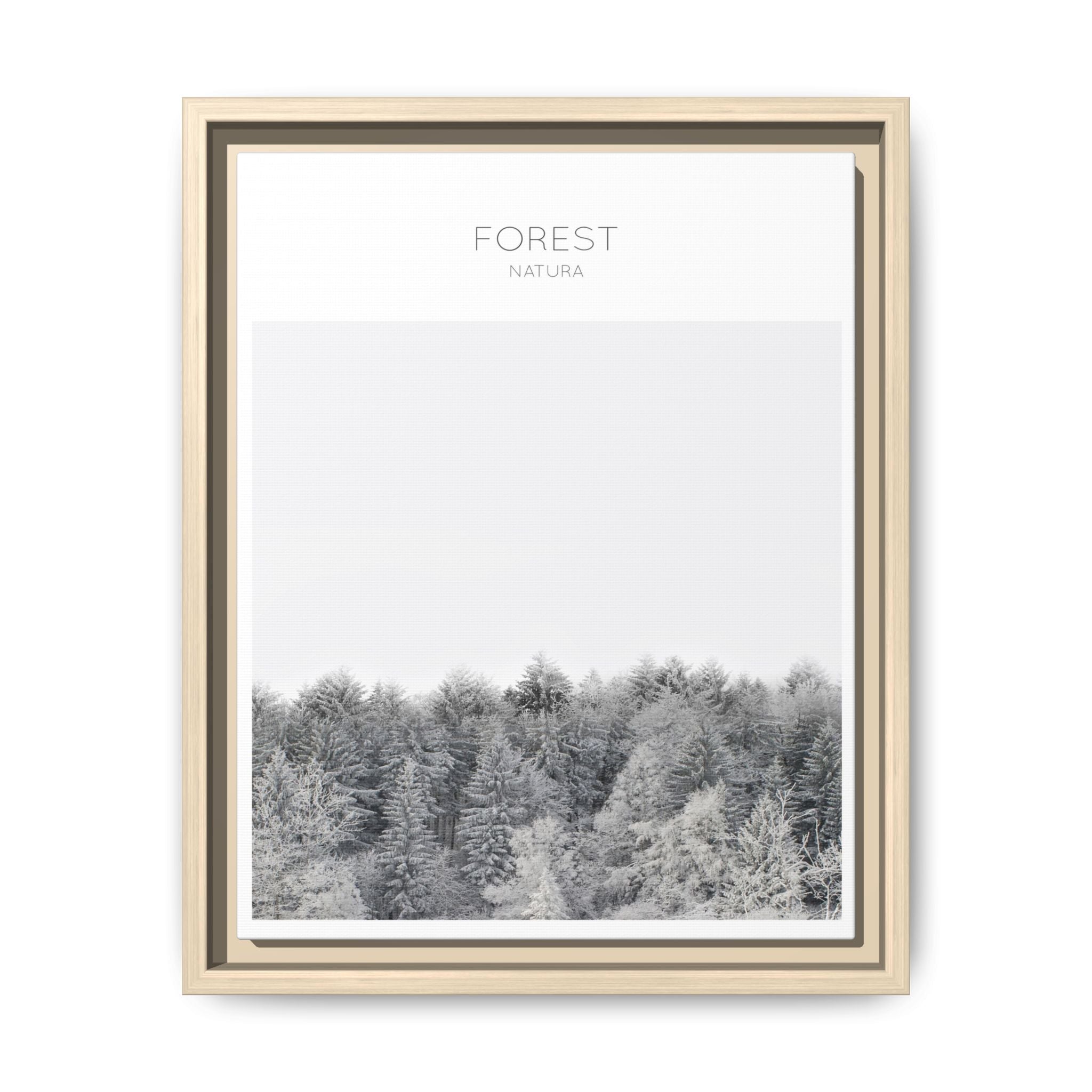 Silent Frost Canopy - Framed