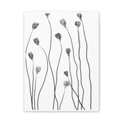 Midnight Seed Reverie - Canvas