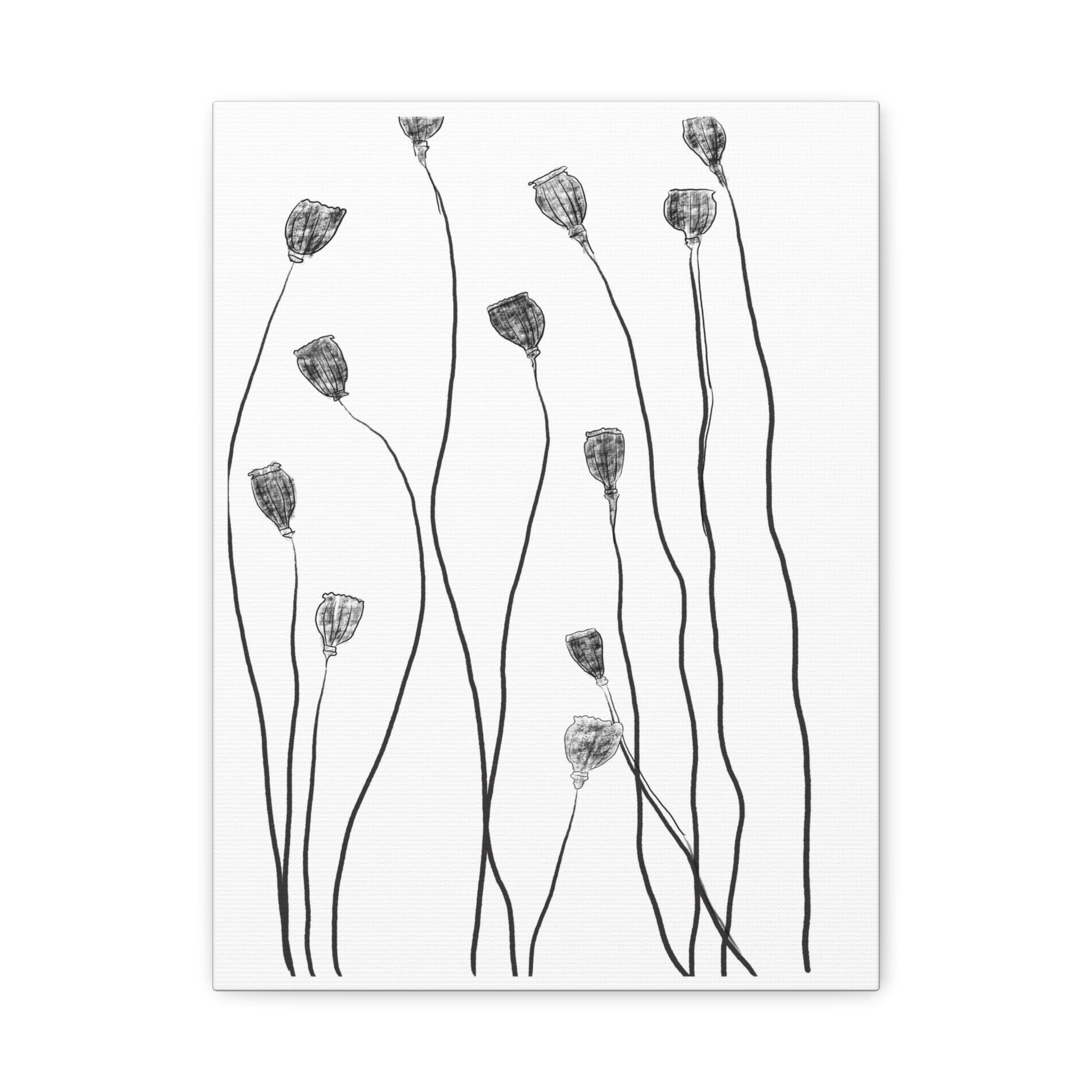 Midnight Seed Reverie - Canvas