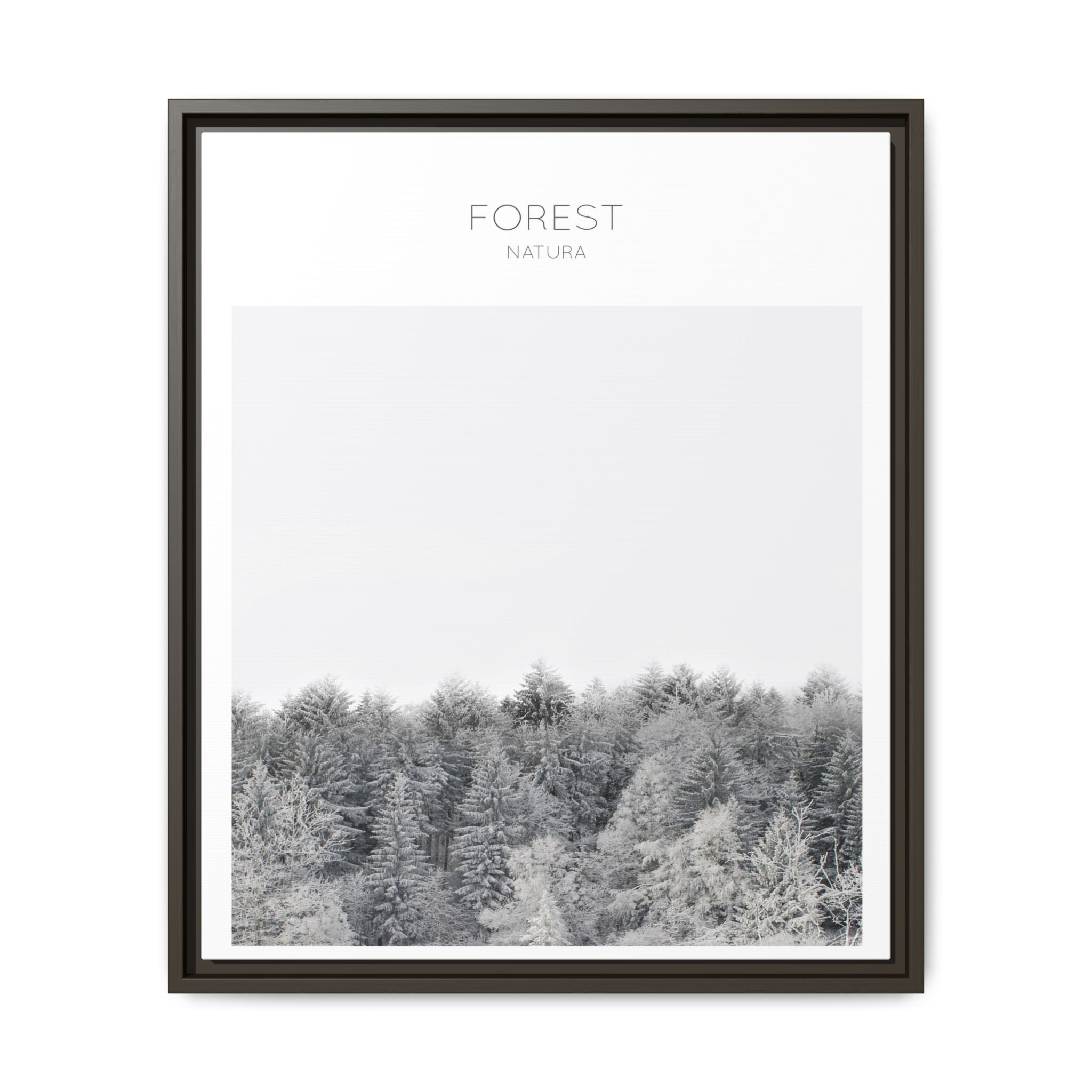 Silent Frost Canopy - Framed