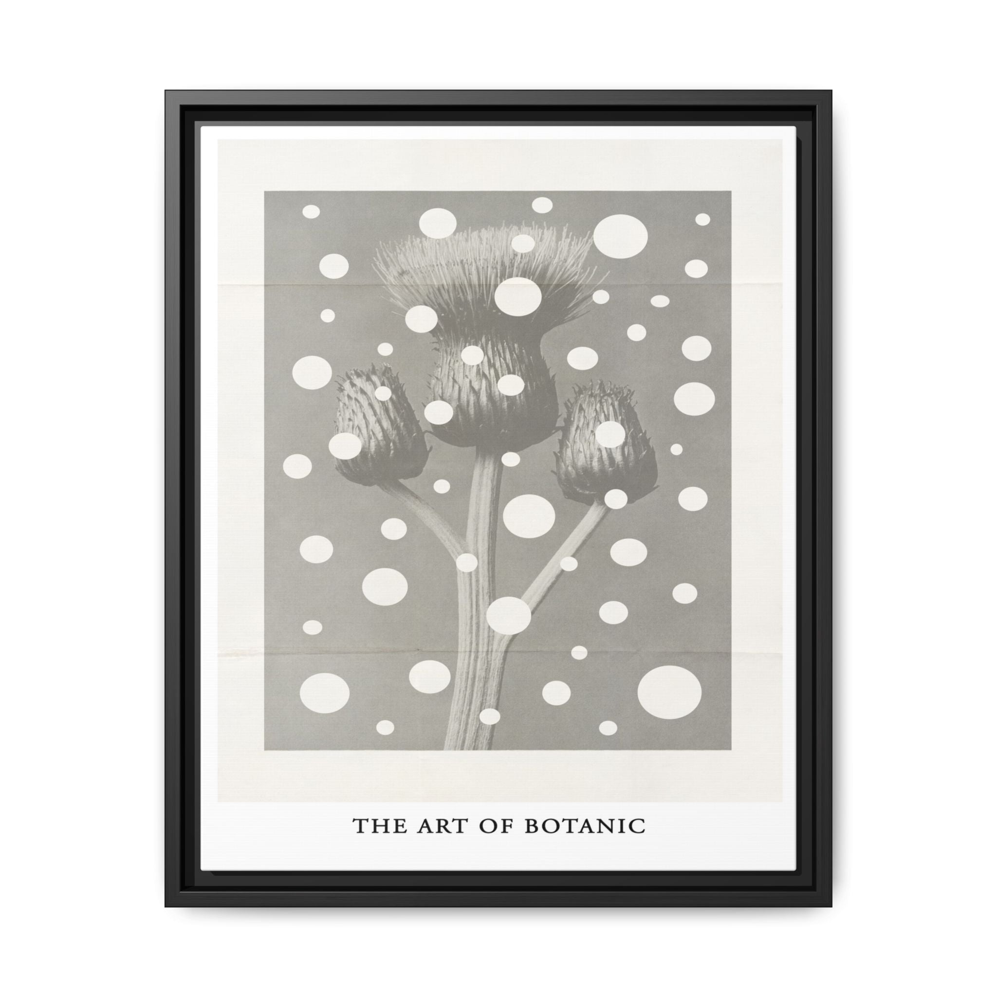 Winter Thistle Reverie - Framed