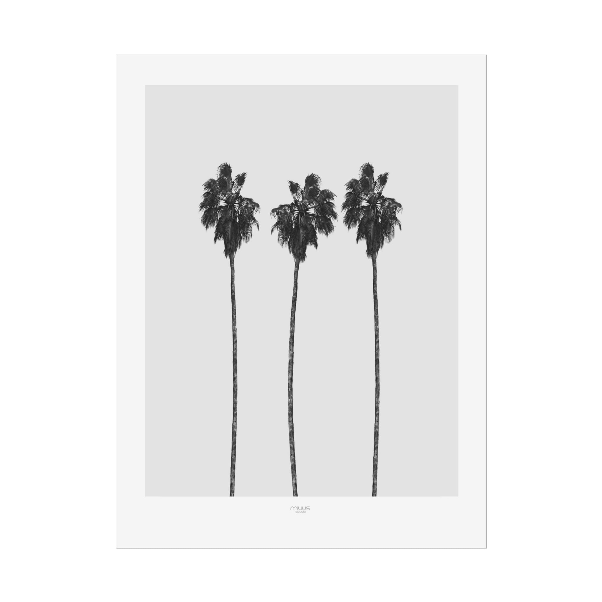 Silver Coast Palm Trio - Poster