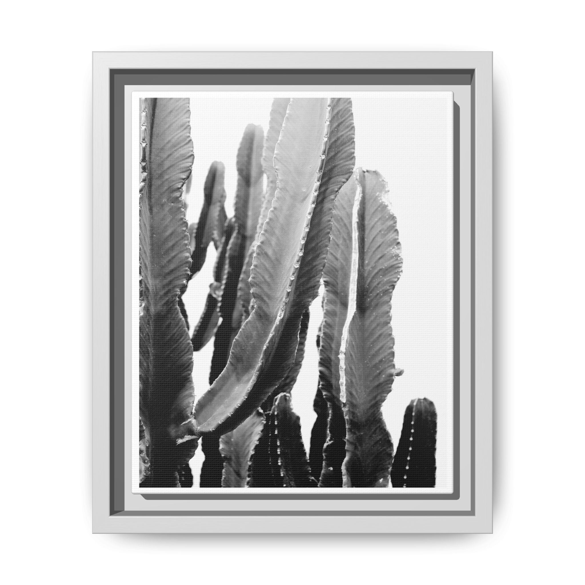 Monochrome Desert Veins - Framed