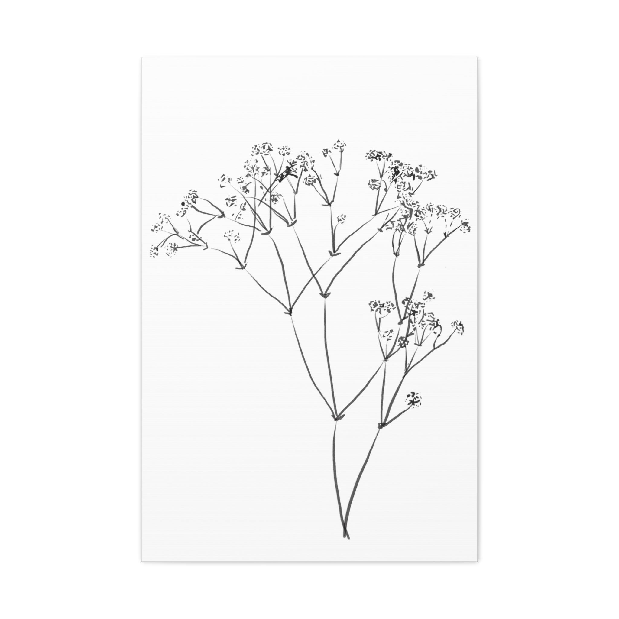 Whispering Meadow Sketch - Canvas