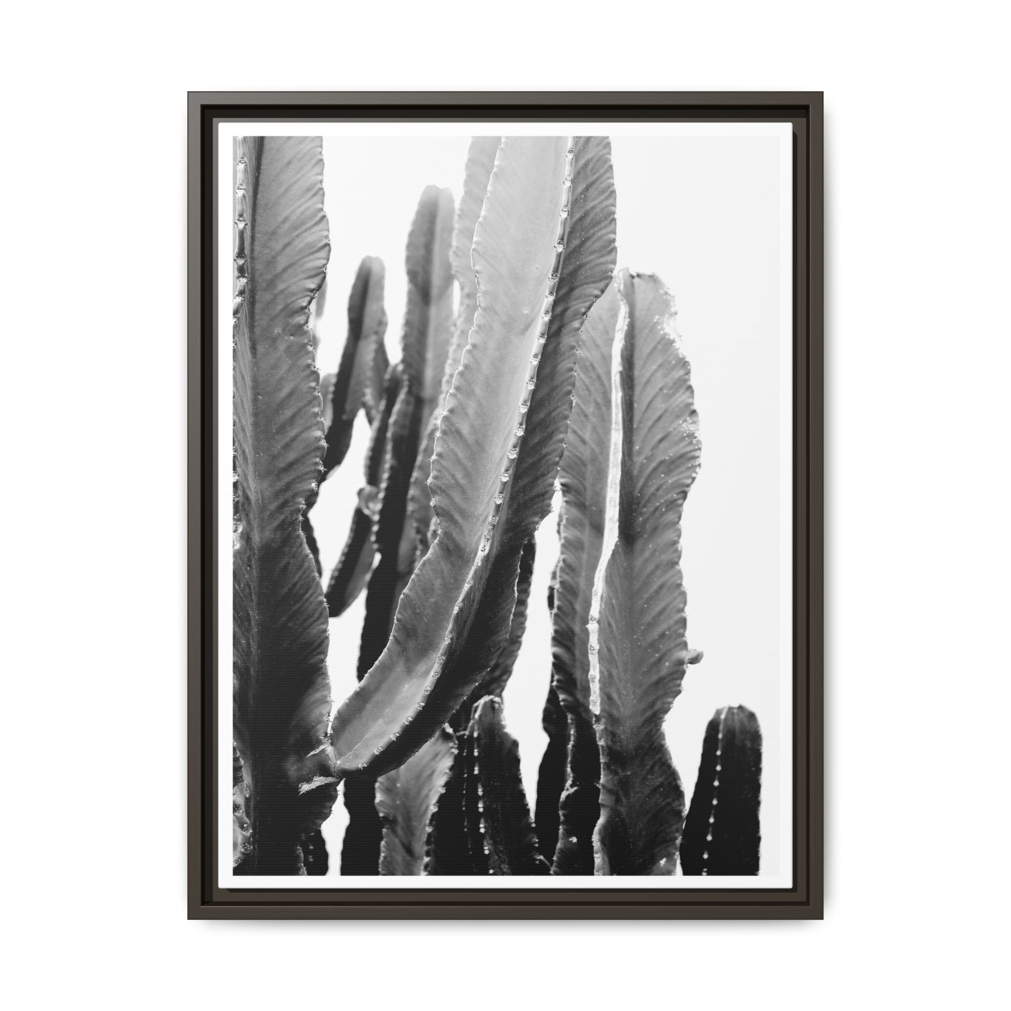Monochrome Desert Veins - Framed