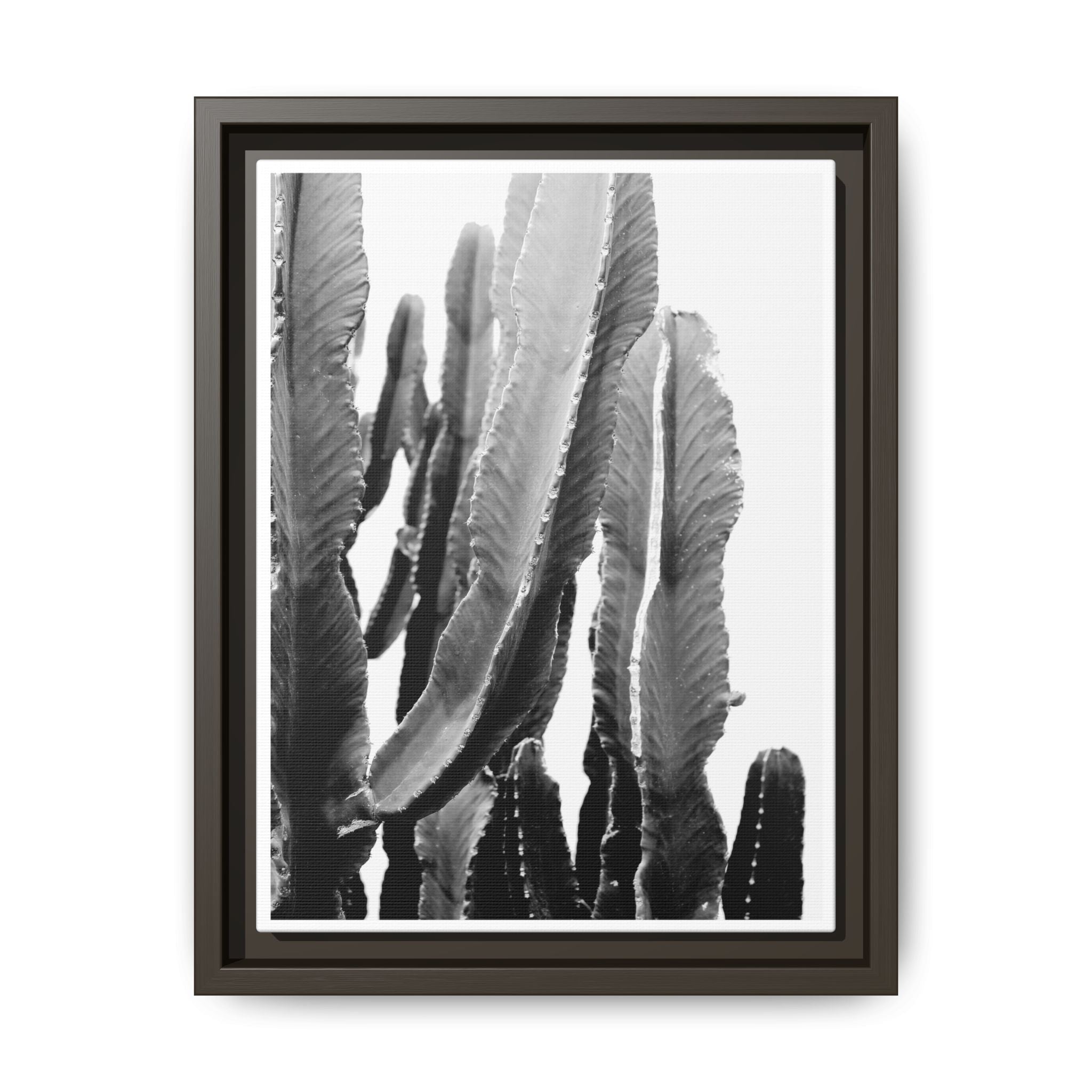 Monochrome Desert Veins - Framed