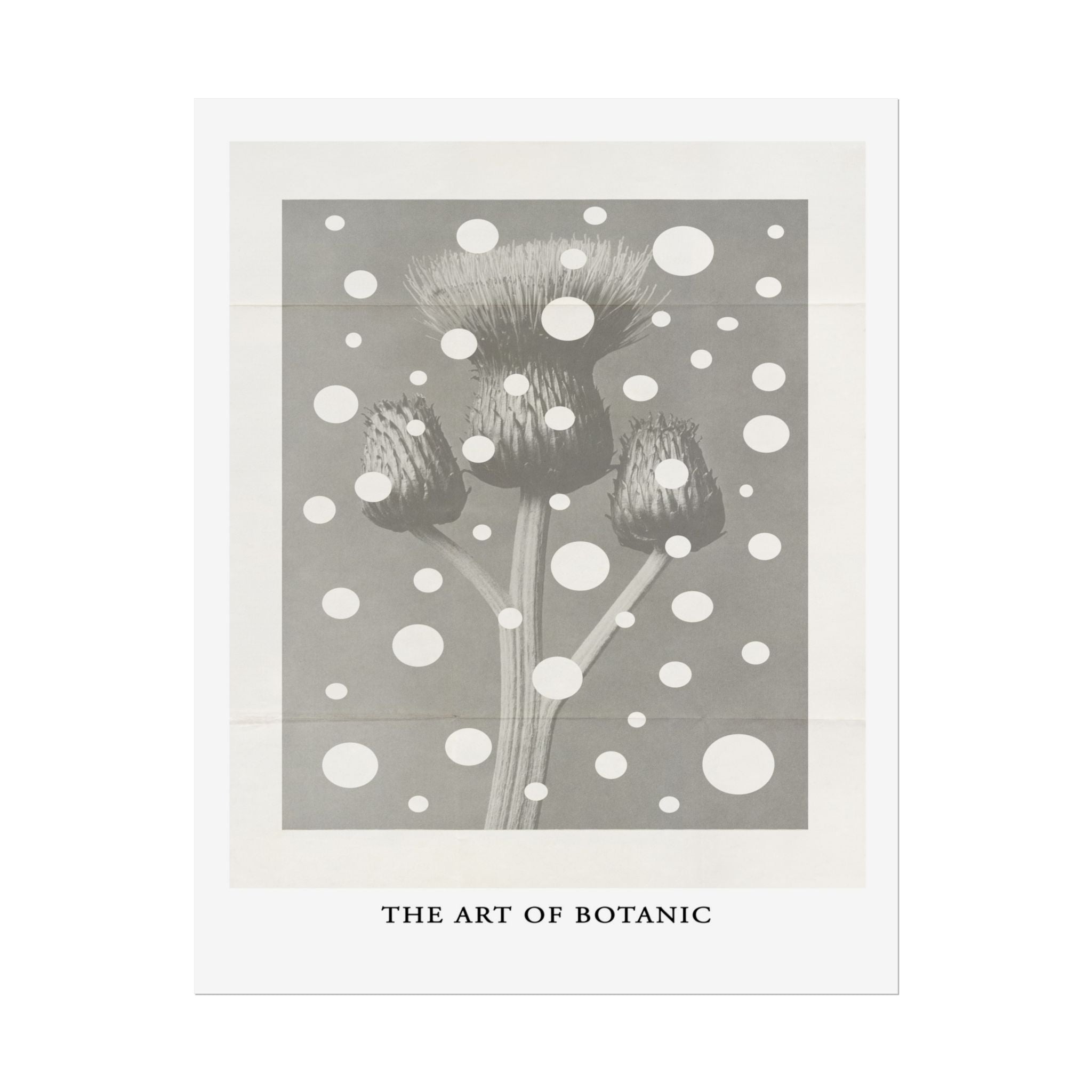 Winter Thistle Reverie - Poster