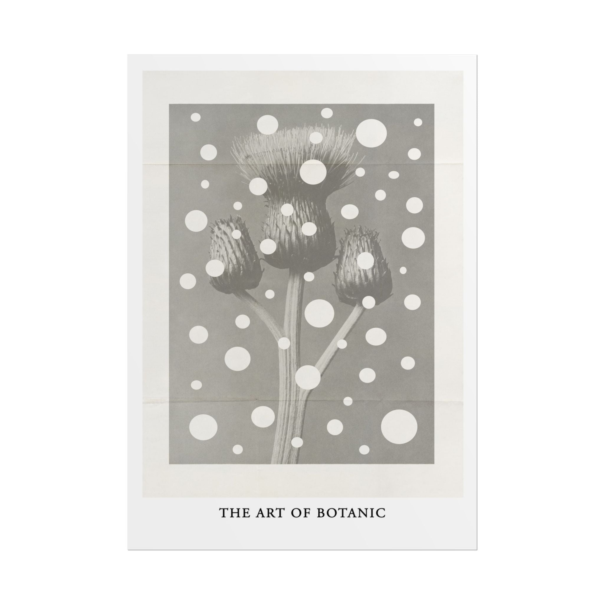 Winter Thistle Reverie - Poster