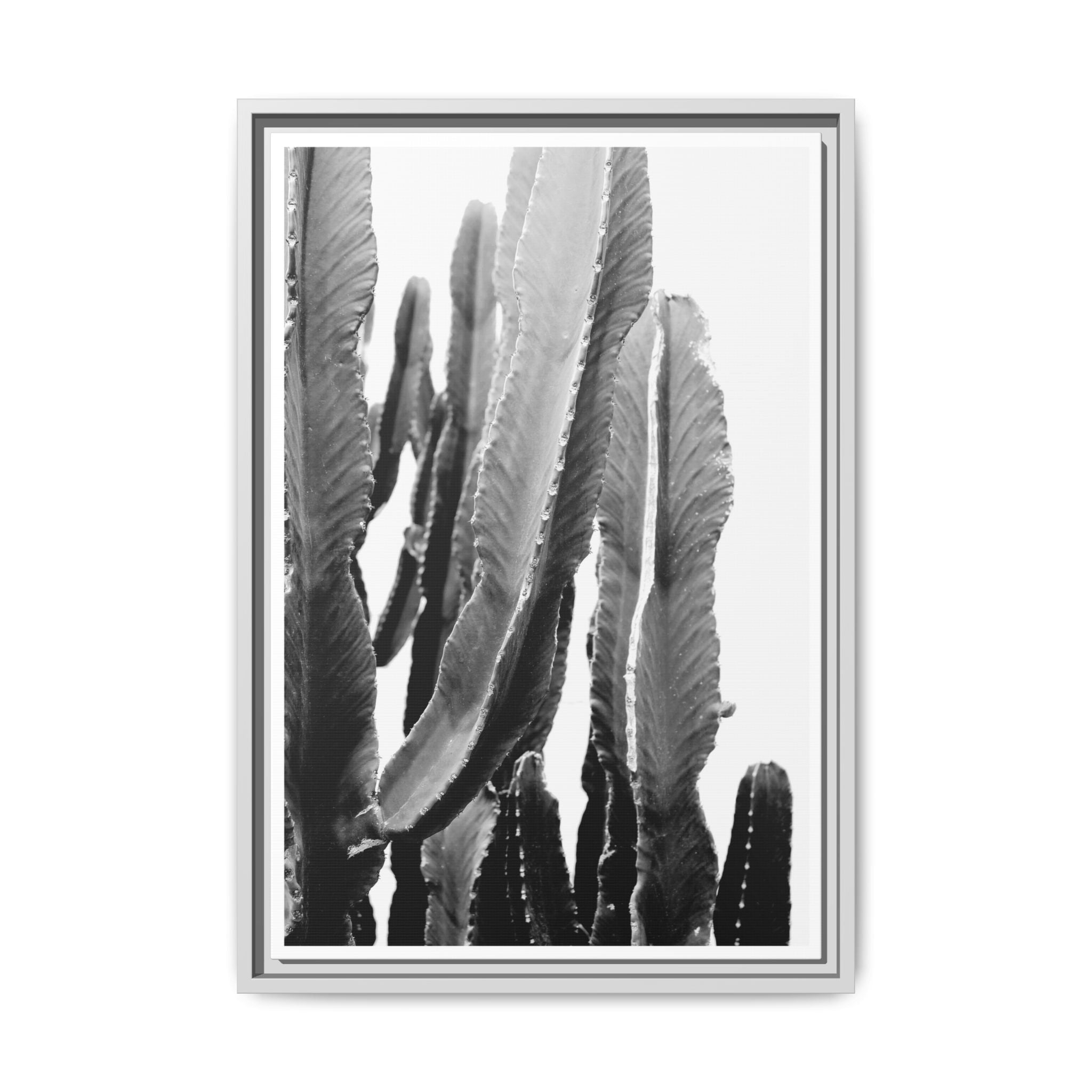 Monochrome Desert Veins - Framed