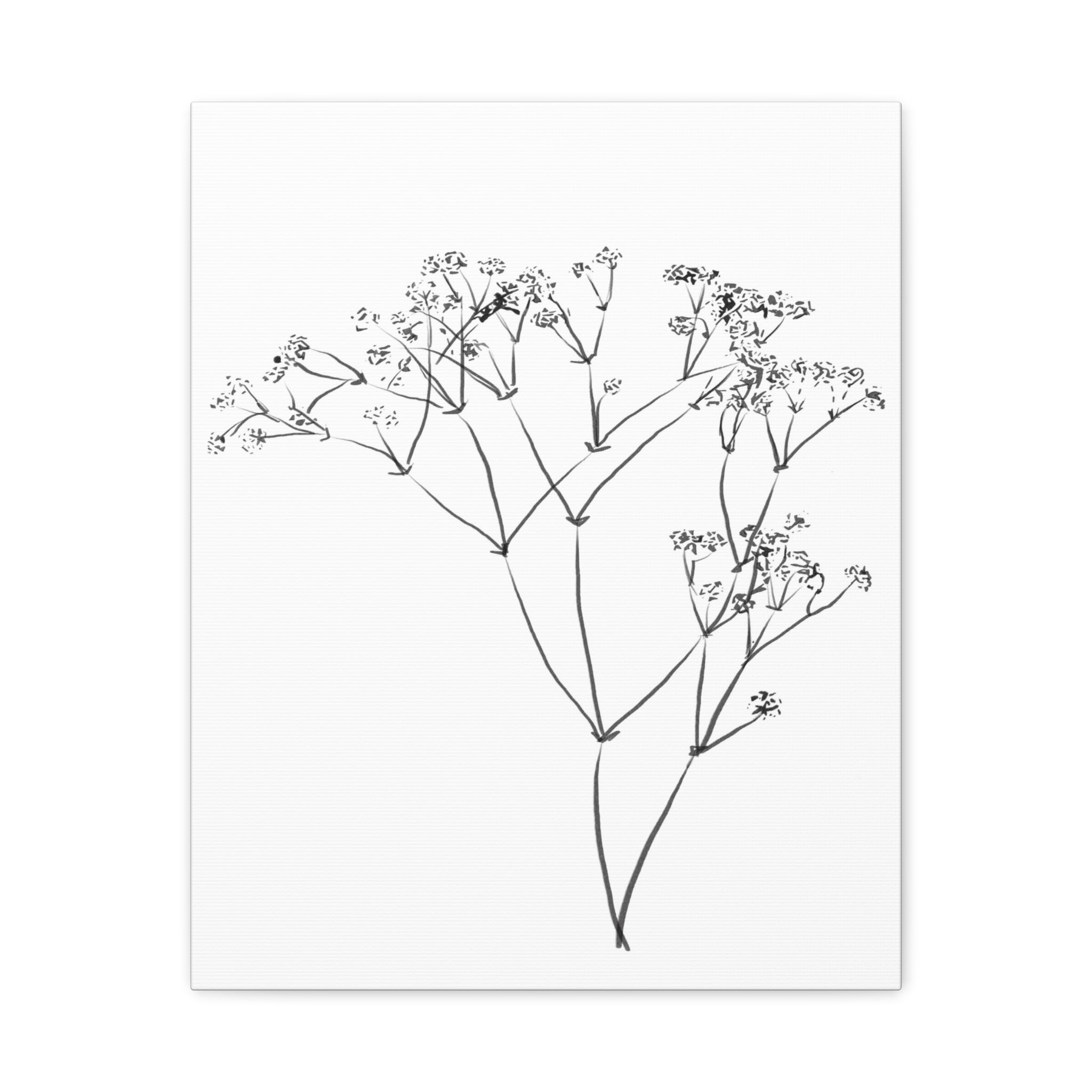 Whispering Meadow Sketch - Canvas