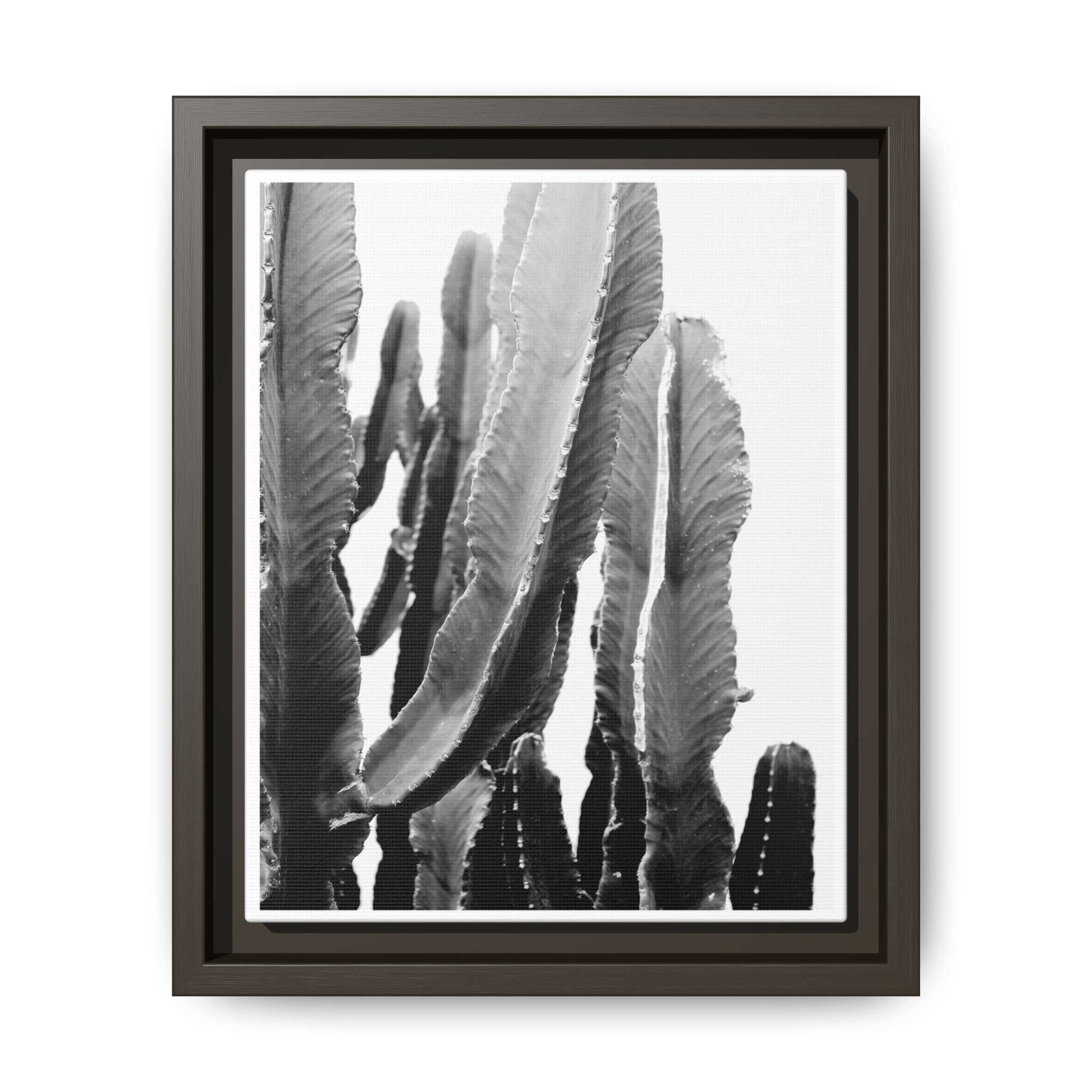 Monochrome Desert Veins - Framed